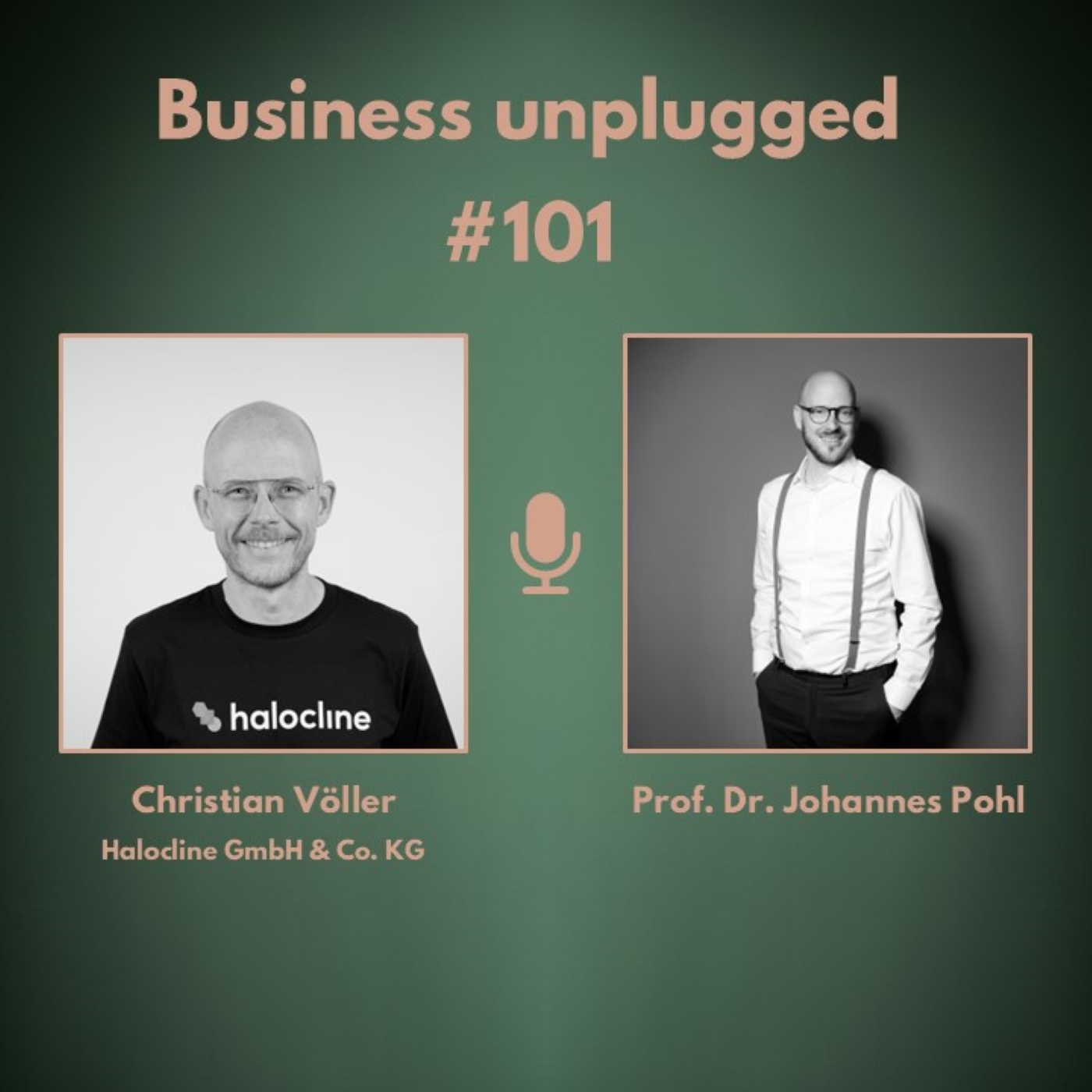 Business unplugged - Menschen, Unternehmen und Aspekte der Digitalisierung