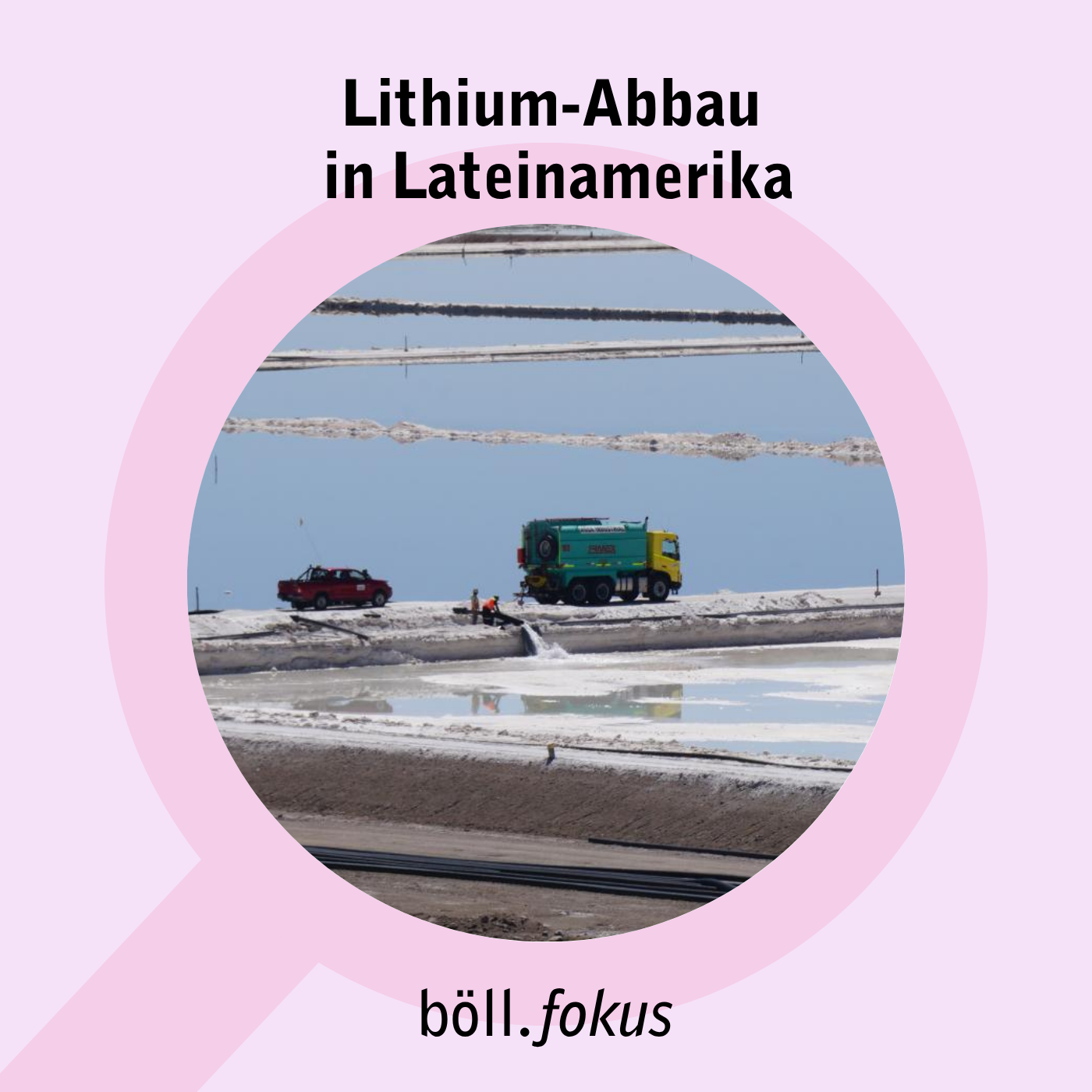Böll.Fokus