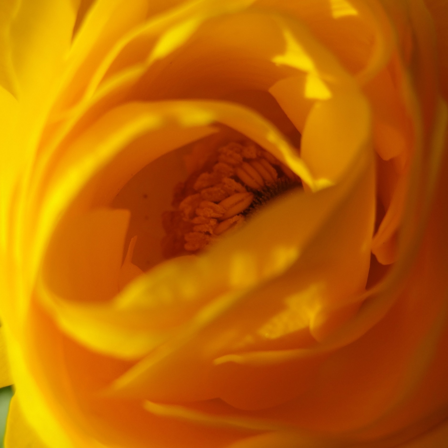 Auries Welt