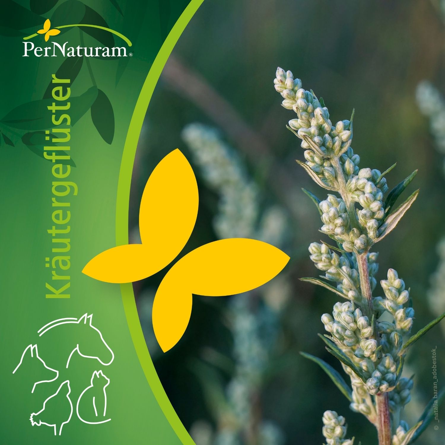 PerNaturam Kräutergeflüster