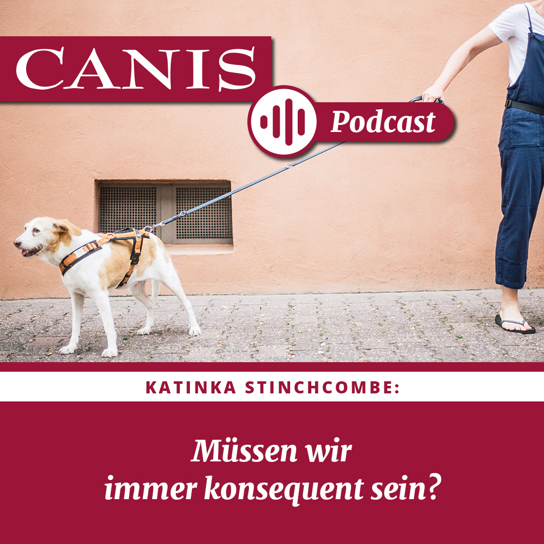 Der CANIS-Podcast – Hundeexpert:innen ausgefragt