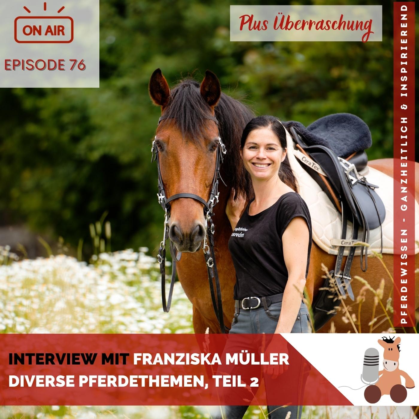 Pferdewissen - ganzheitlich & inspirierend mit Sandra Fencl