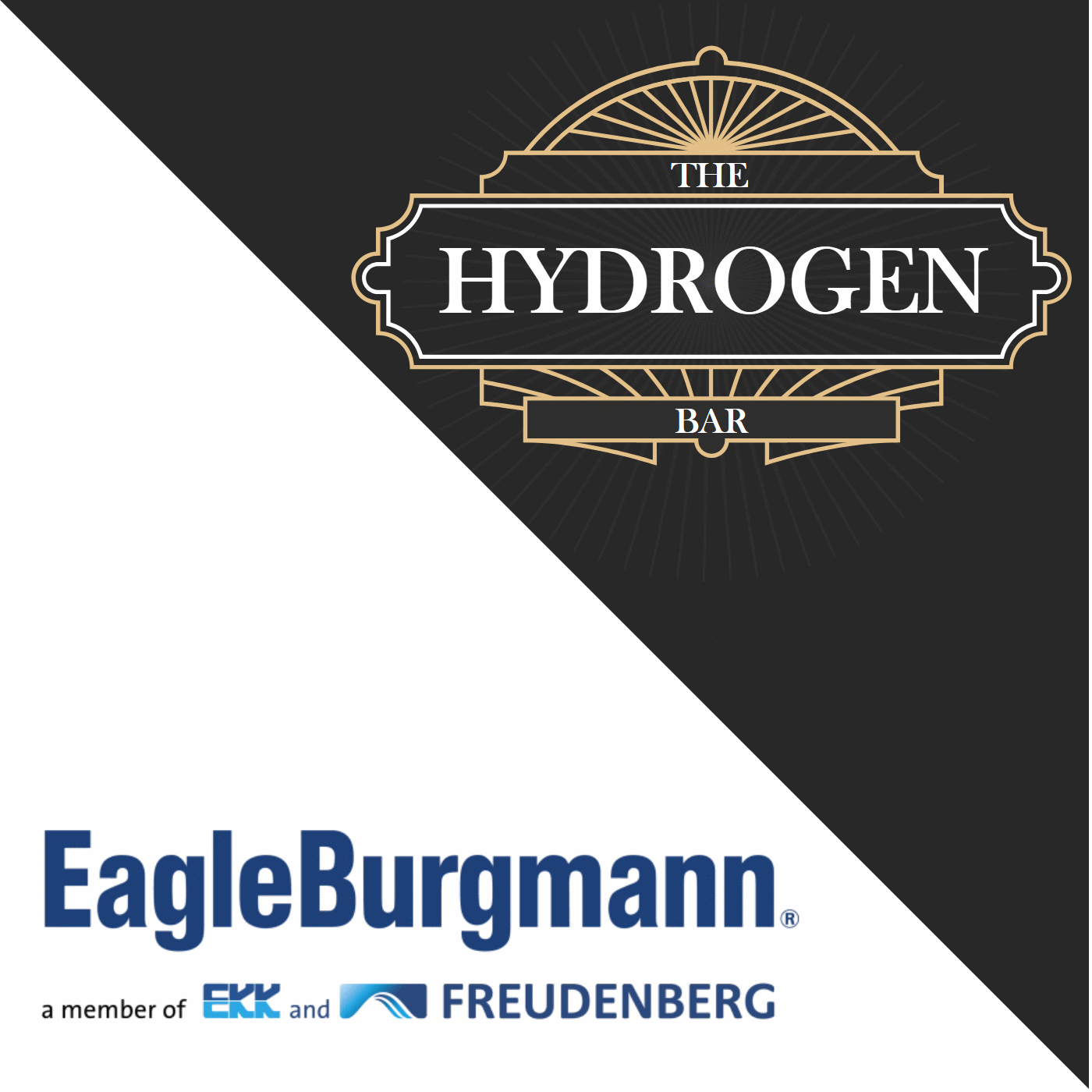 #257 Sealing the Future: Zero-Leak Hydrogen Solutions - with EagleBurgmann #257 Sealing the Future: Zero-Leak Hydrogen Solutions - with EagleBurgmann