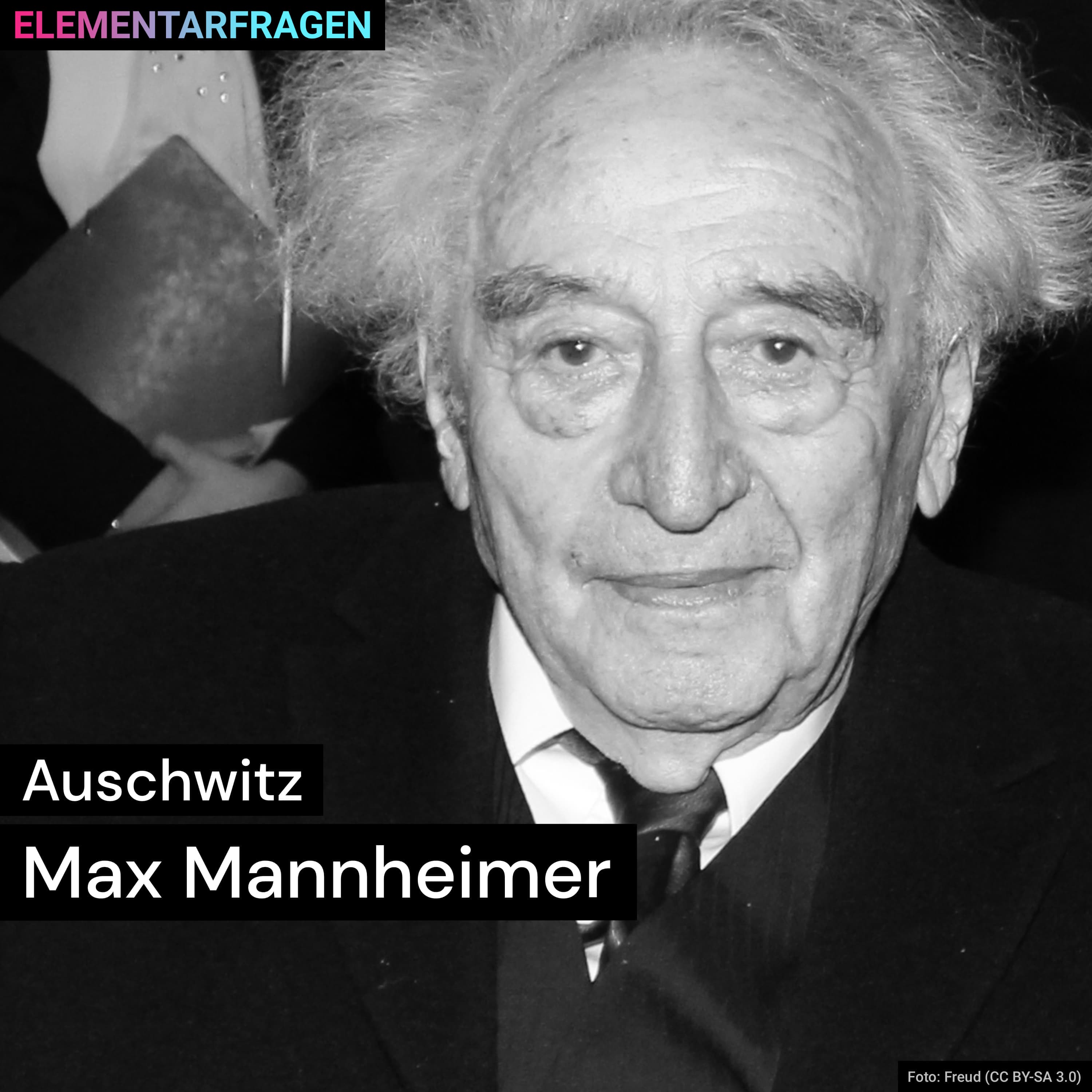 Auschwitz | Max Mannheimer