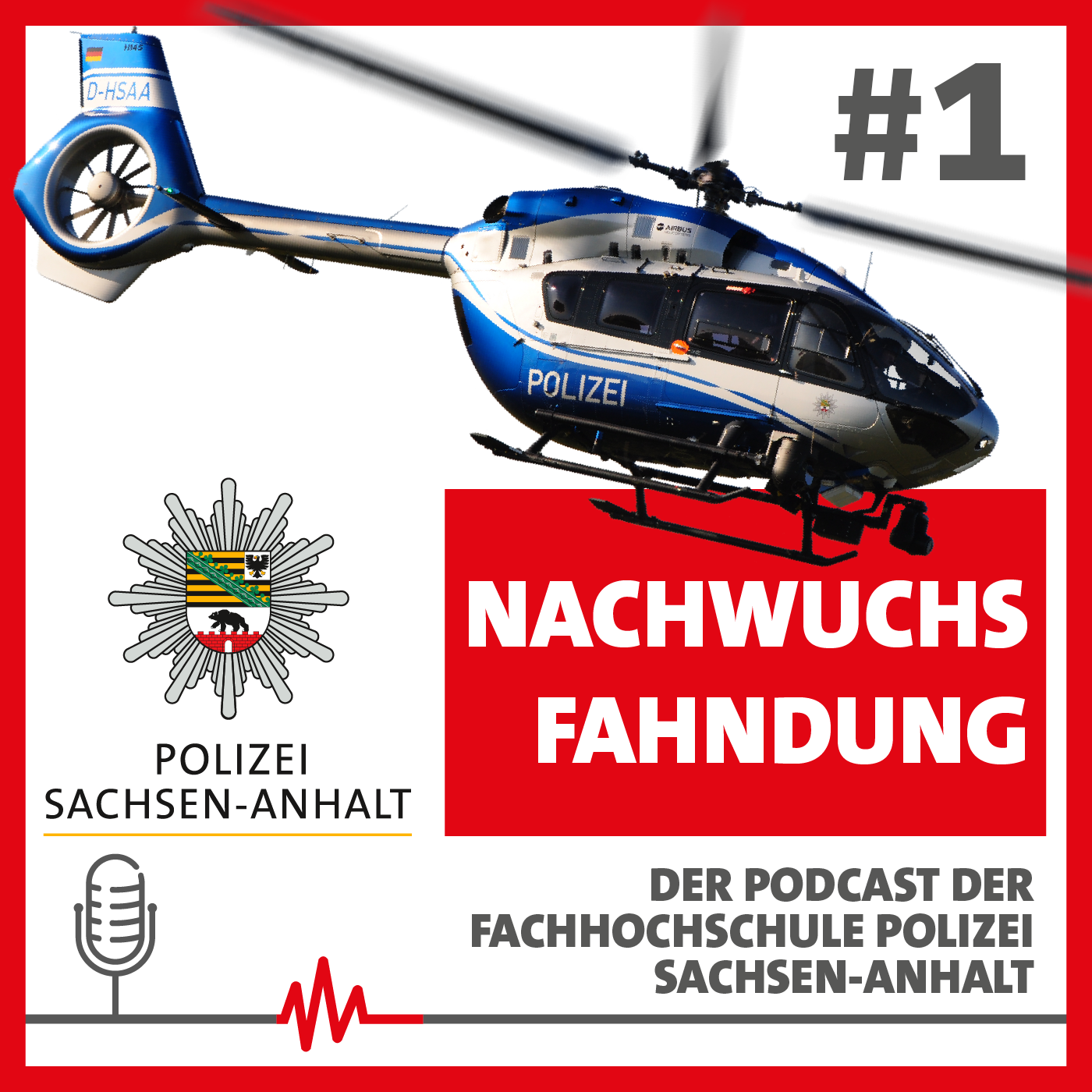Nachwuchsfahndung