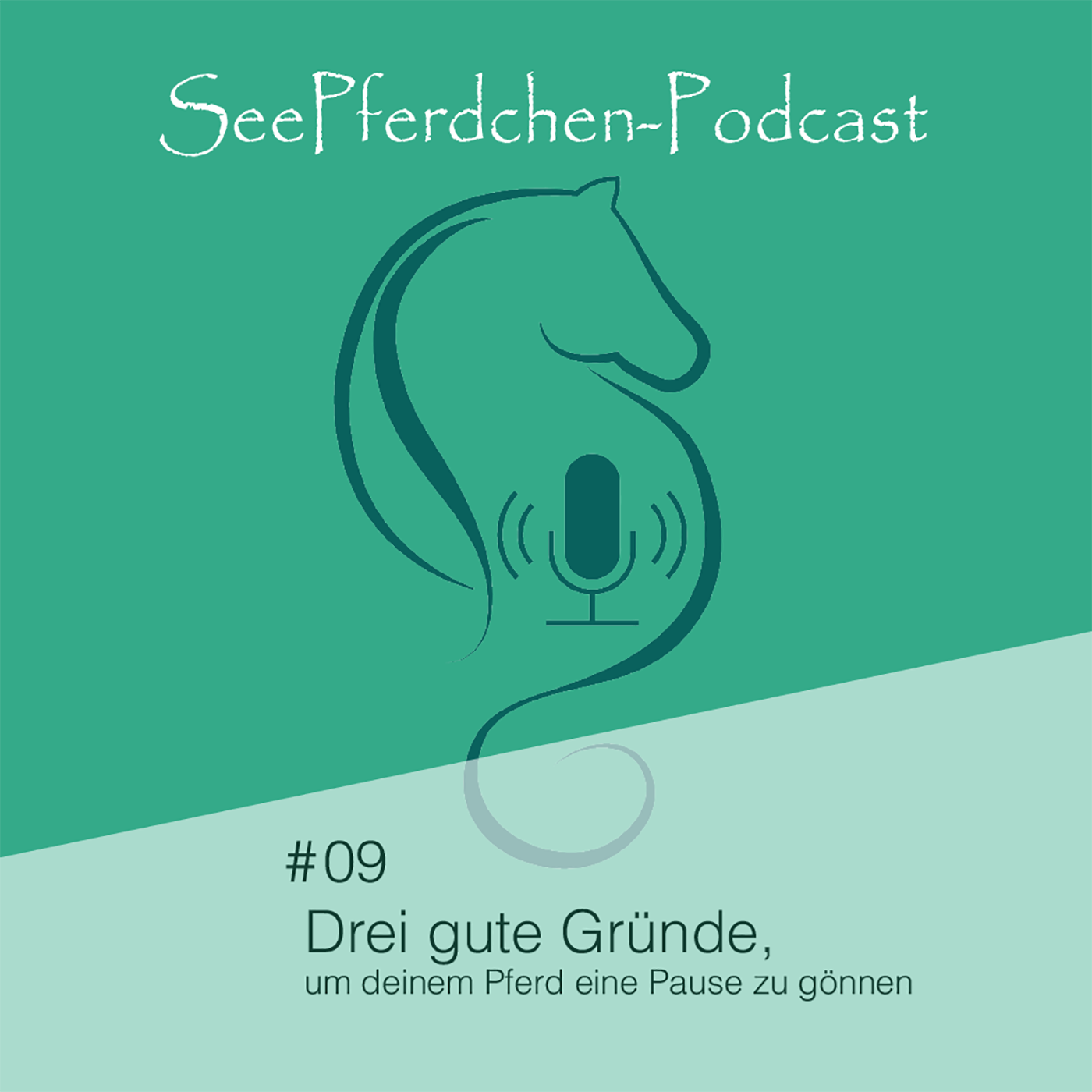 #09 │ Drei gute Gründe, um deinem Pferd eine Pause zu gönnen episode artwork