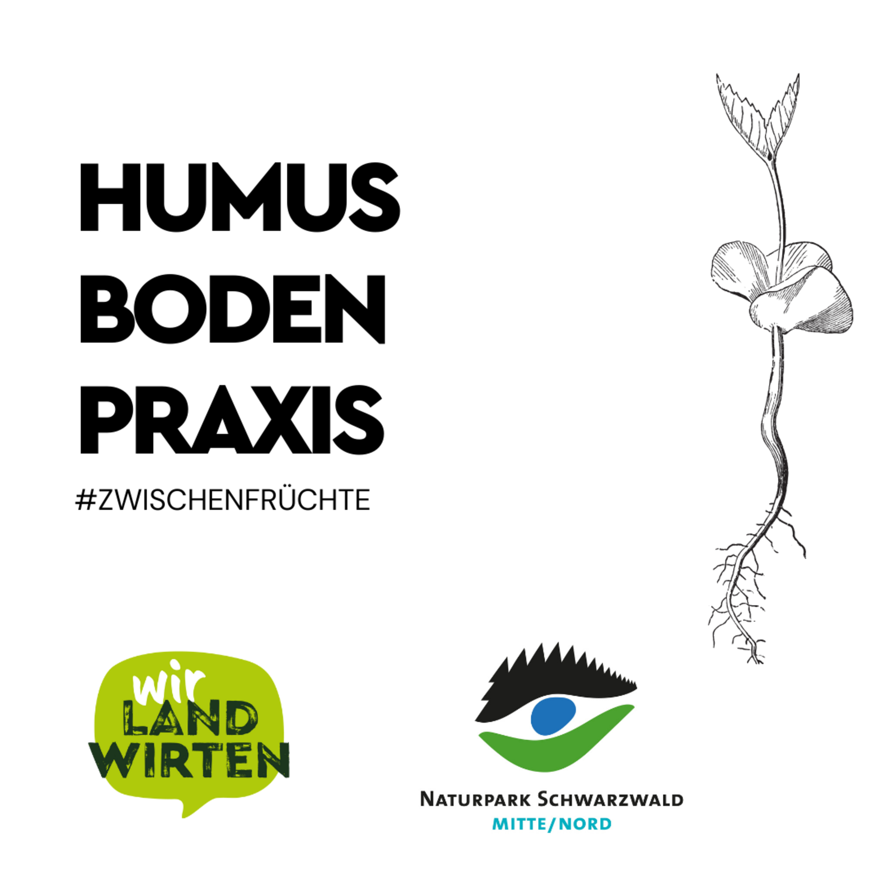 wirlandwirten Podcast