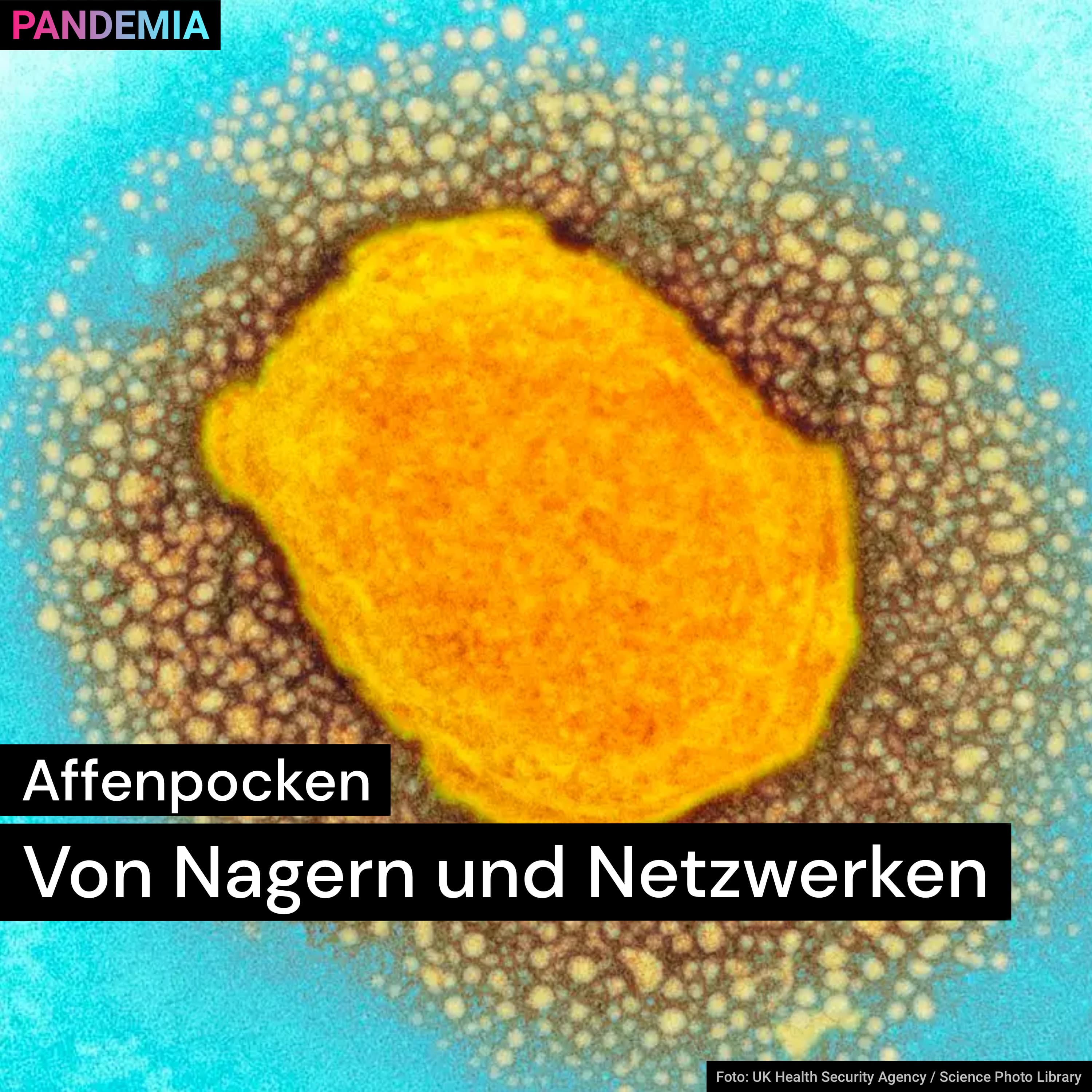 Pandemia