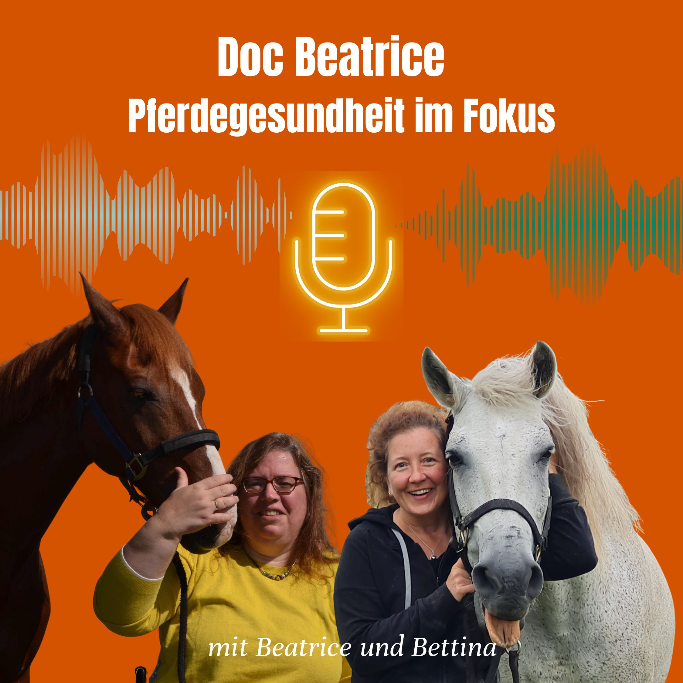 Doc  Beatrice - Pferdegesundheit im Fokus