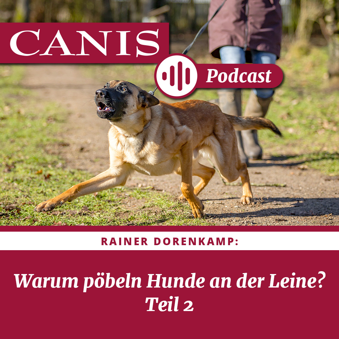 Der CANIS-Podcast – Hundeexpert:innen ausgefragt
