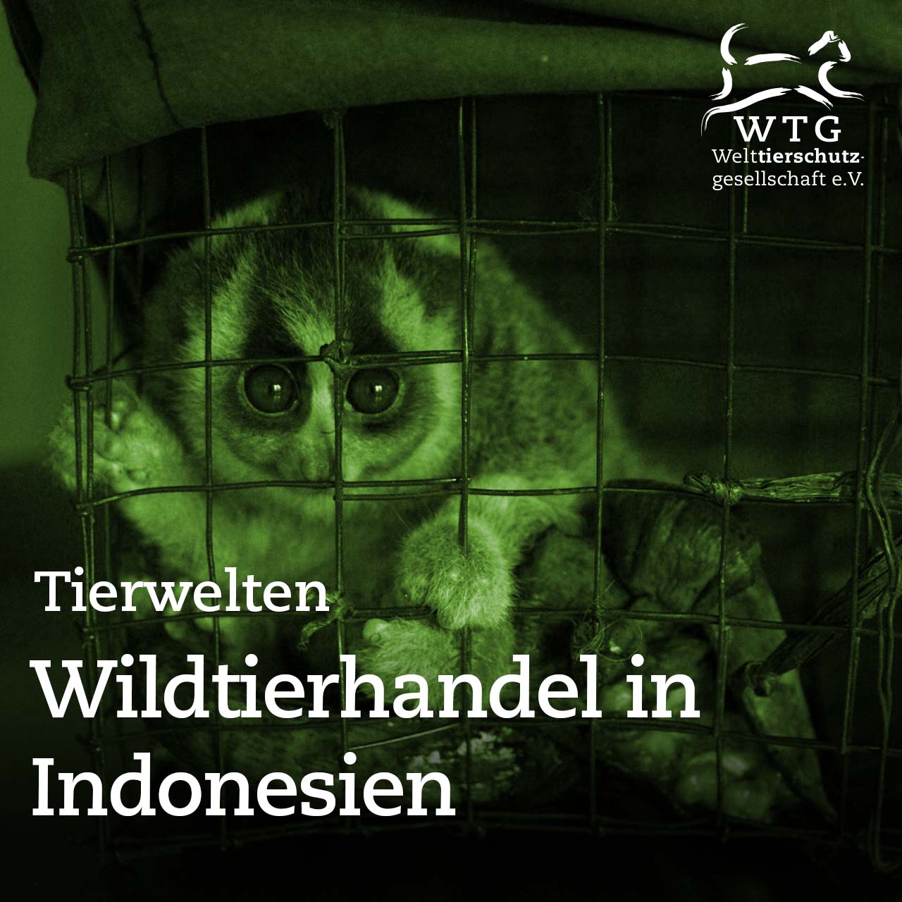 Tierwelten