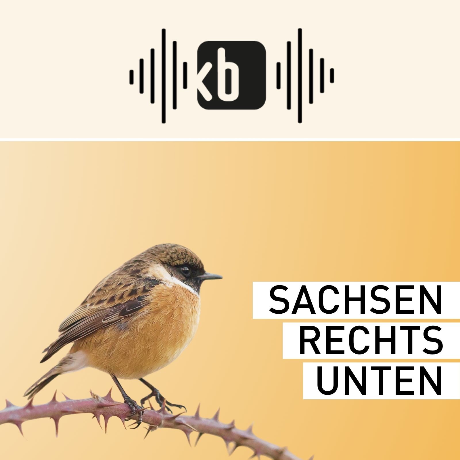 Sachsen rechts unten cover