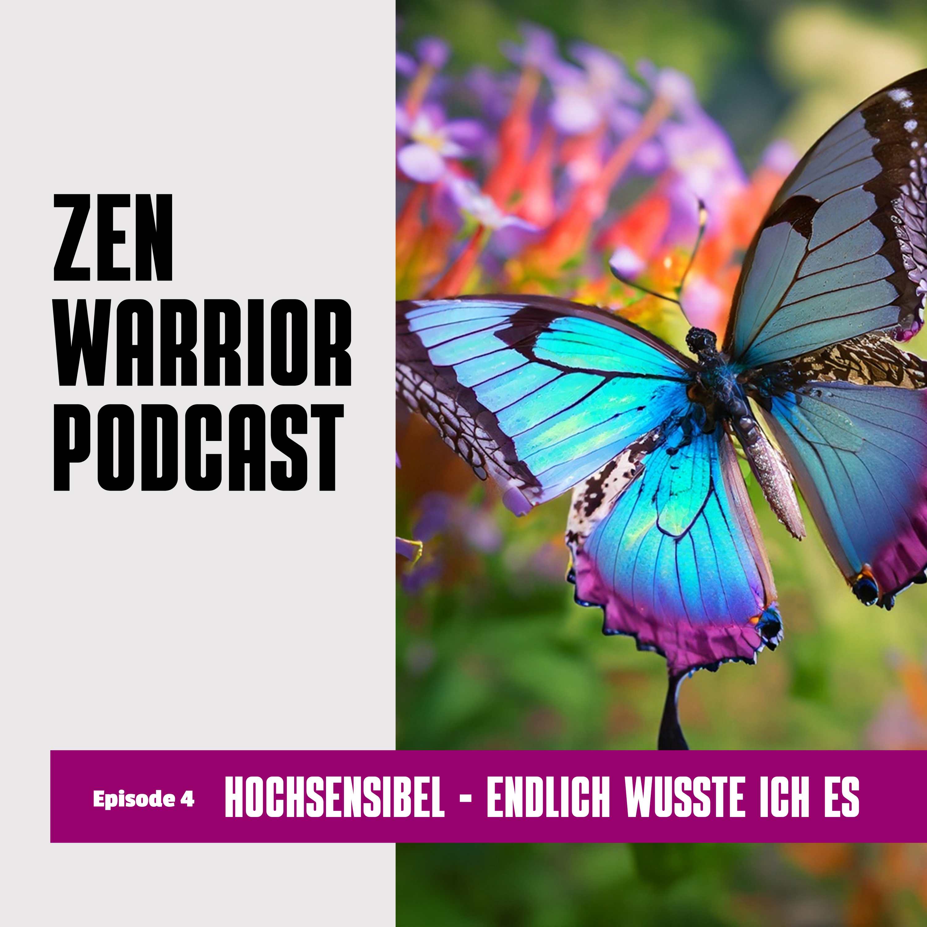 The Zen Warrior Podcast