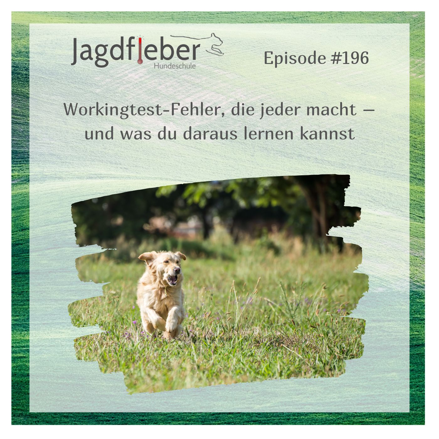 P196: Workingtest-Fehler, die jeder macht – und was du daraus lernen kannst episode artwork
