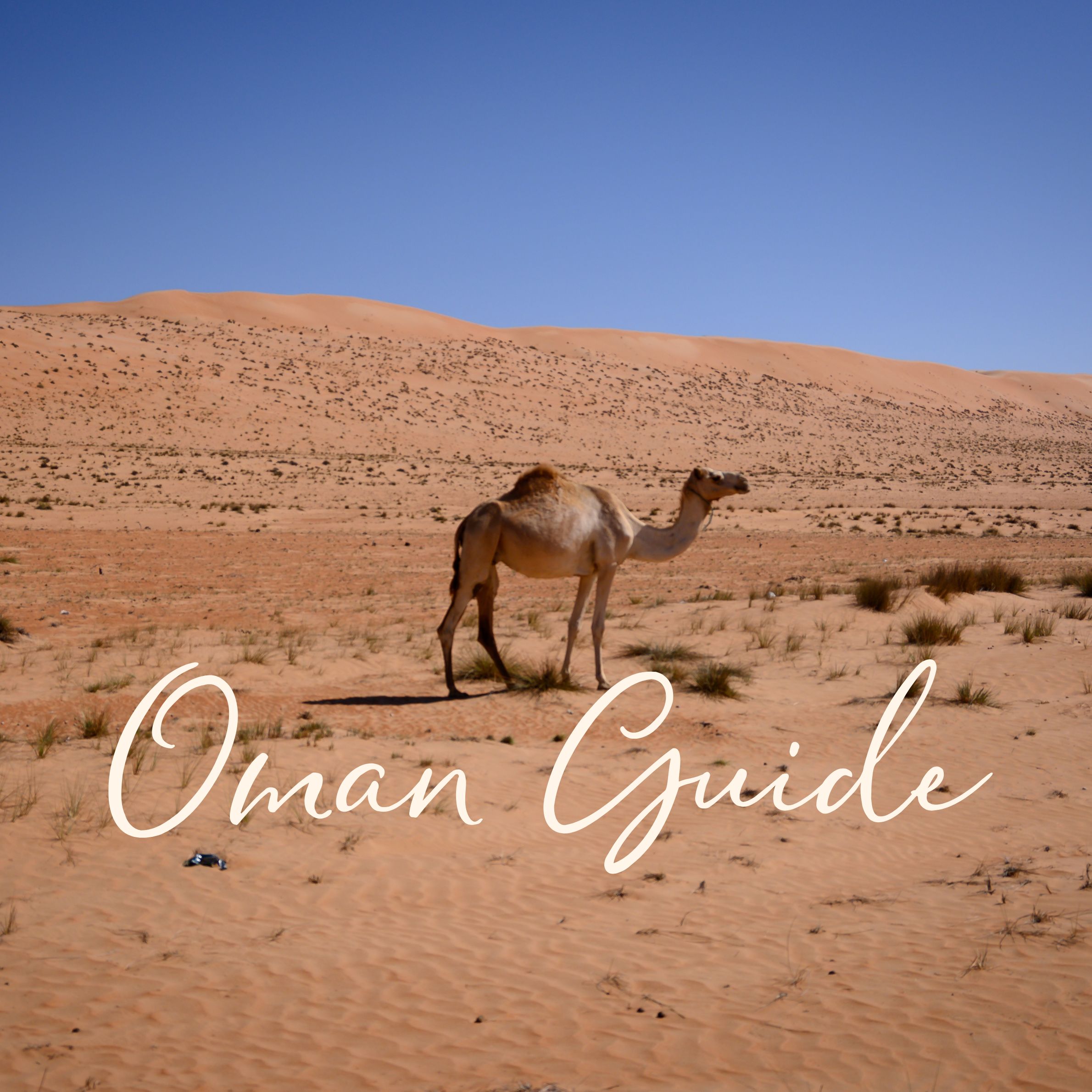 Oman Guide