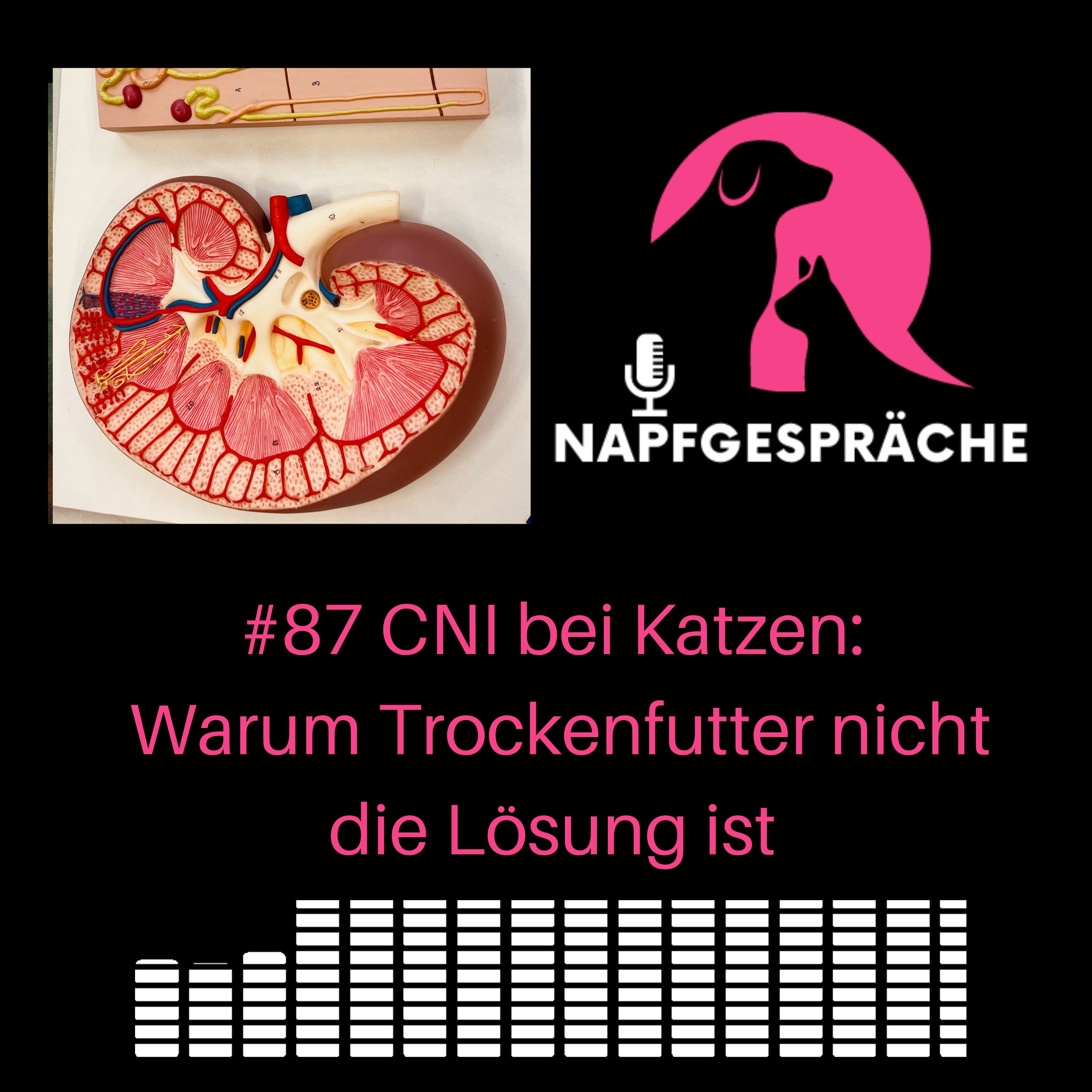 Napfgespräche - Experten über Ernährung von Hunden und Katzen und smarte Supplemente