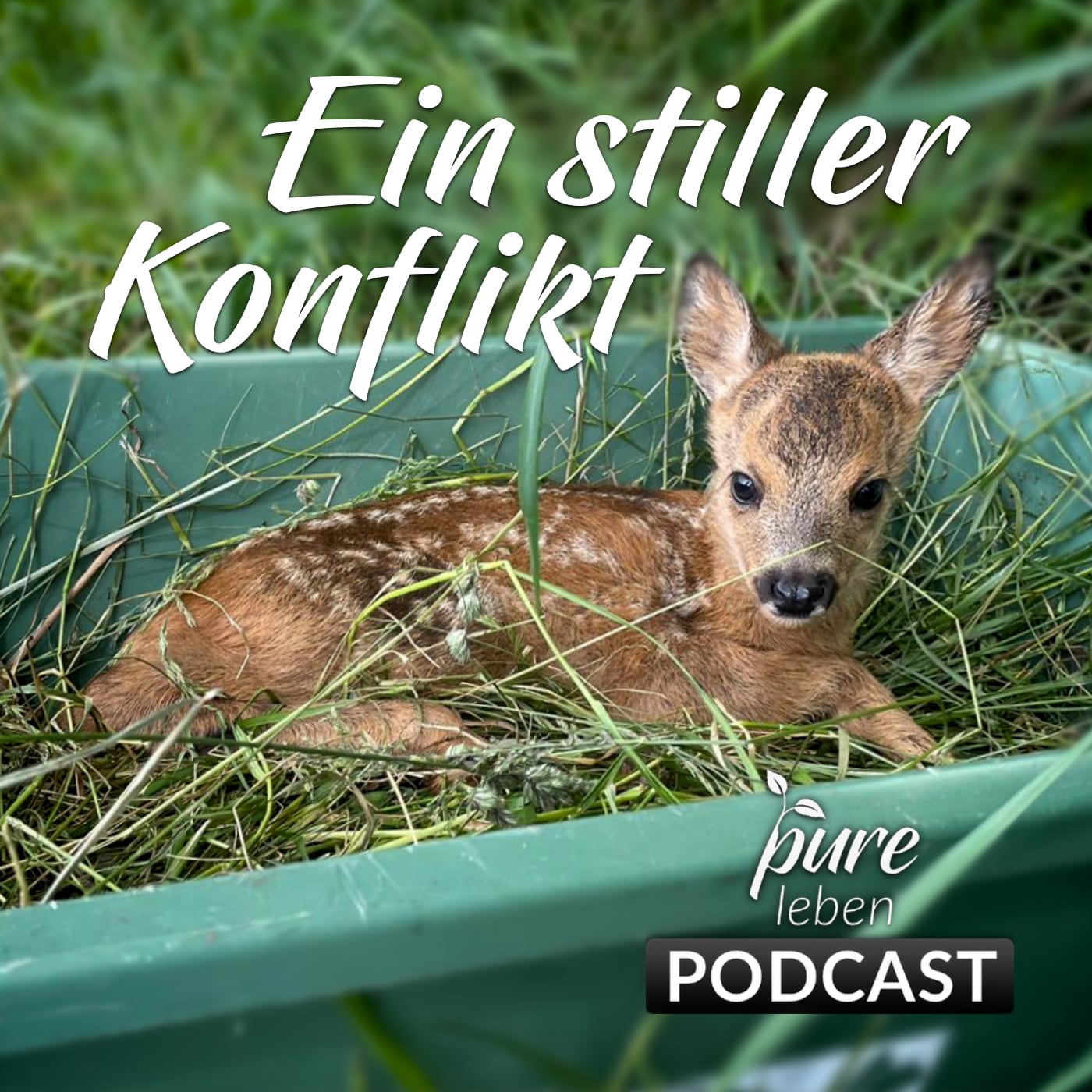 pure leben - Dein Future Lifestyle Podcast