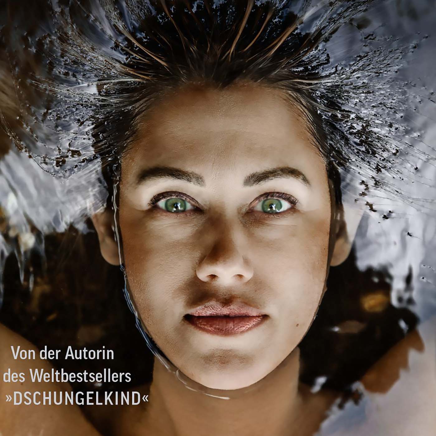 Zeitpunkt TERRA NOVA