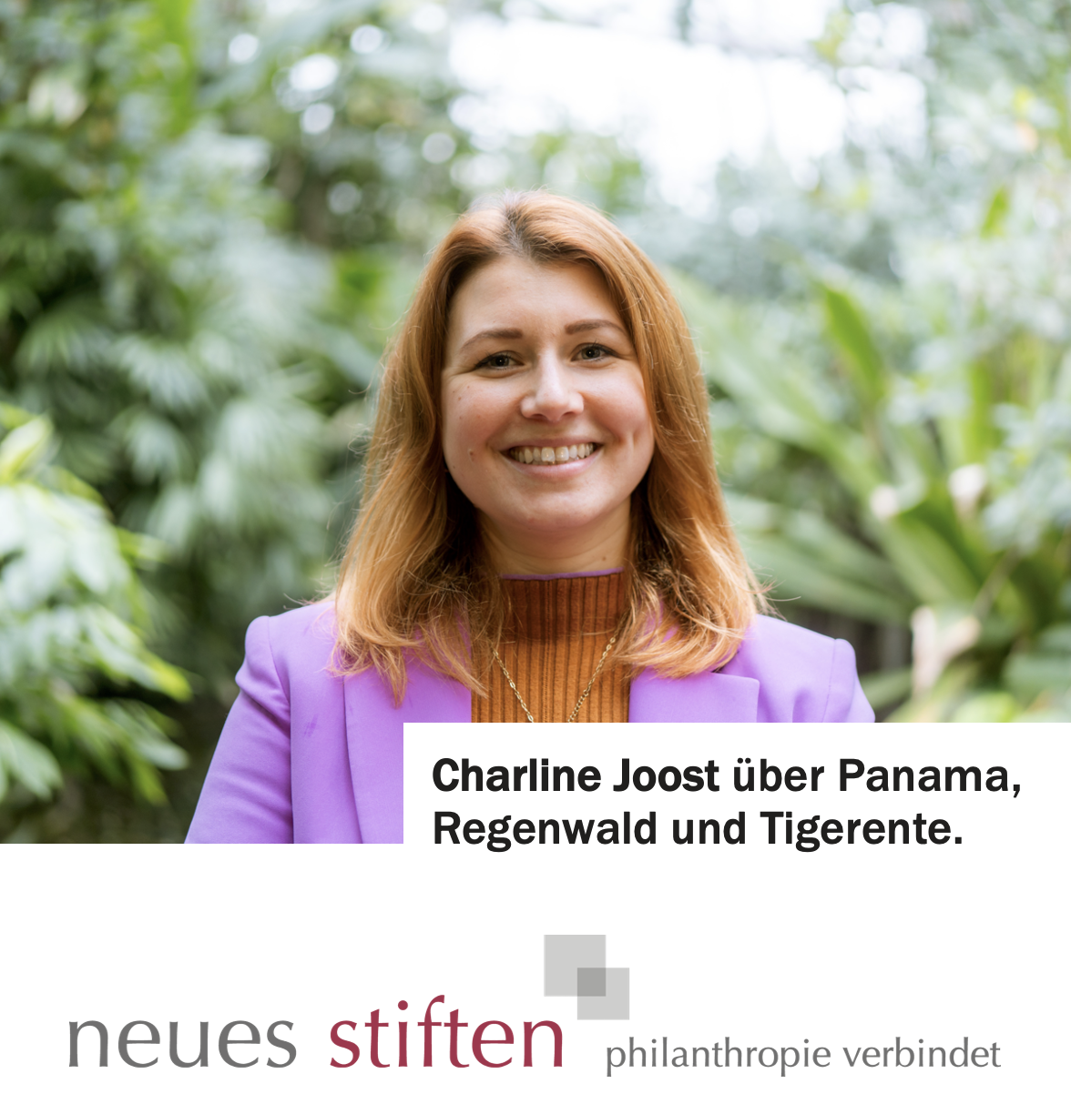 Charline Joost und die Tigerente in Panama episode artwork