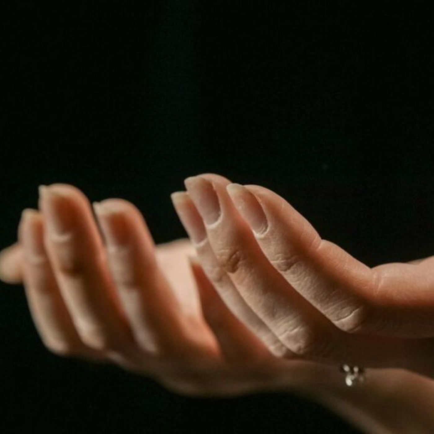 What Will You Offer the Lord?