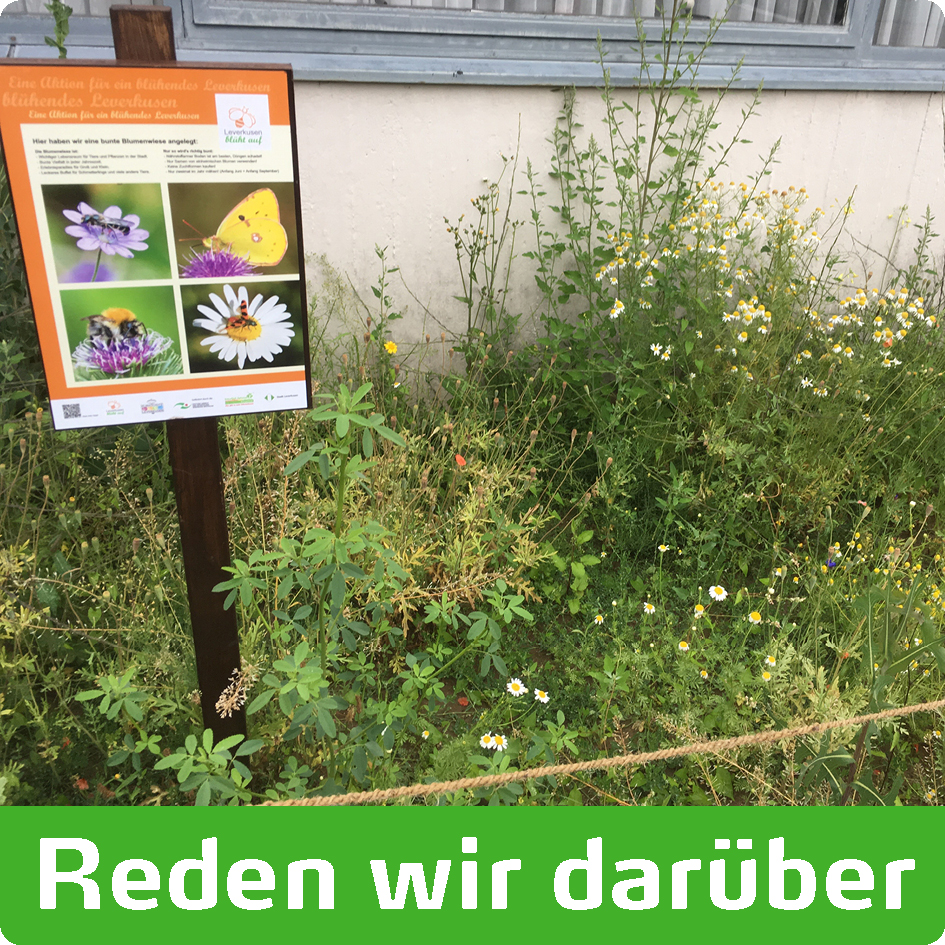 Reden wir darüber - Podcast über christliches Leben in Leverkusen