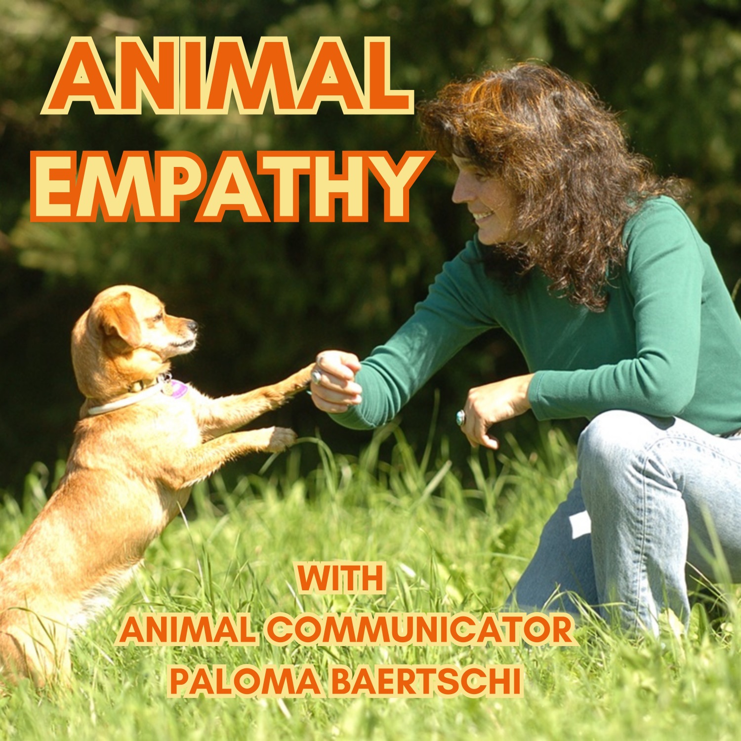 Paws and Hearts United: Navigating the Realm of Animal Telepathy ...