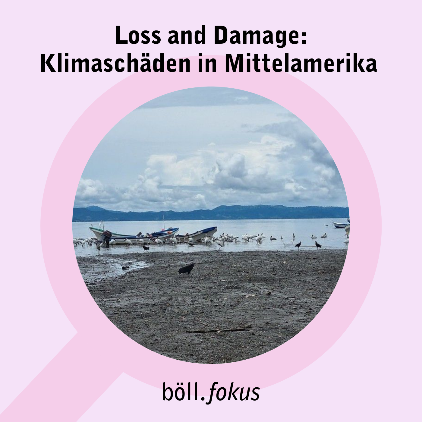 Böll.Fokus