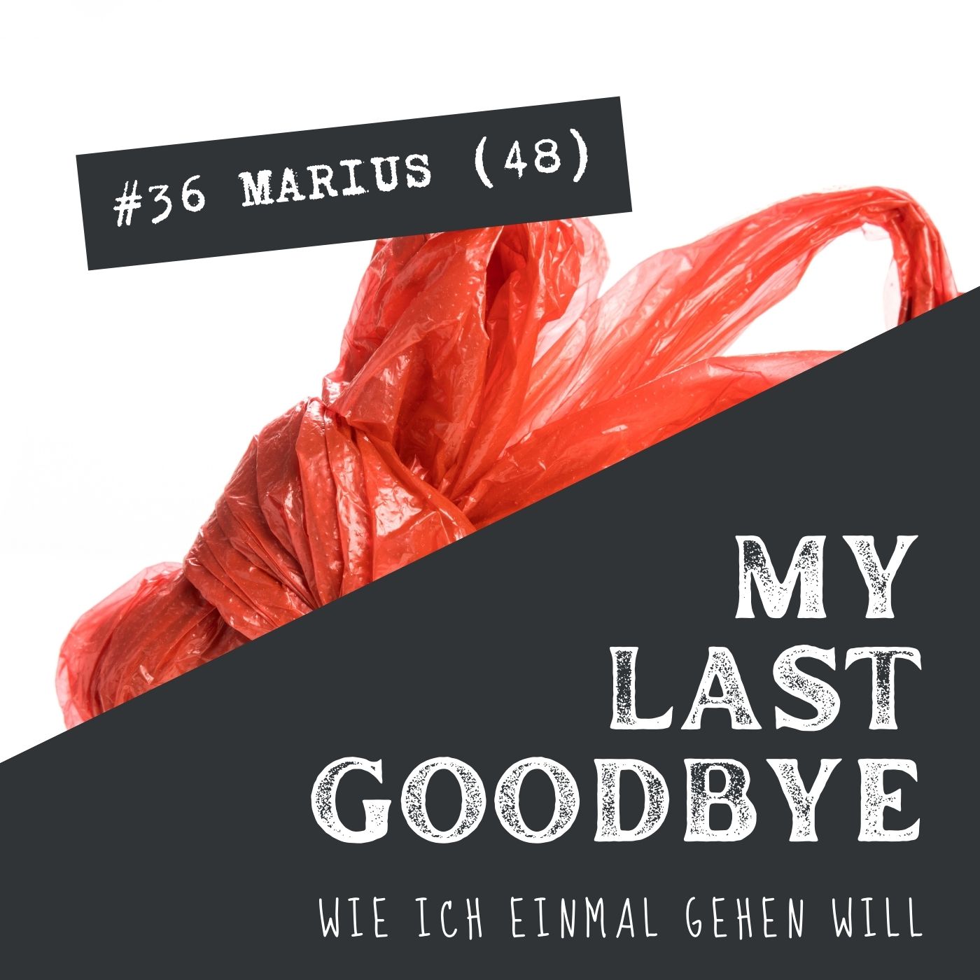 MY LAST GOODBYE