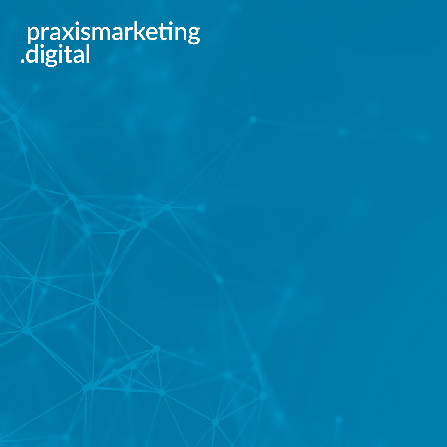praxismarketing.digital