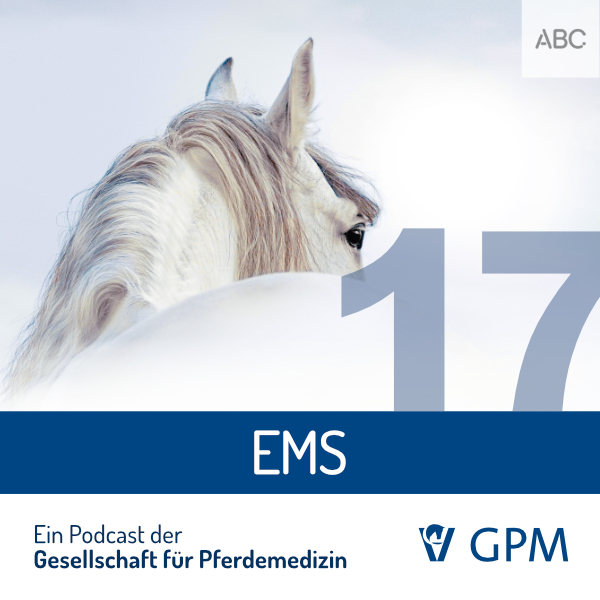 Pferdemedizin heute