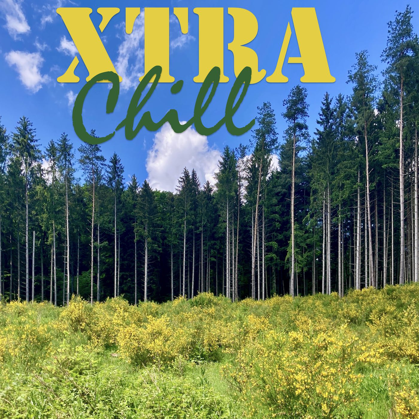 XtraChill 416