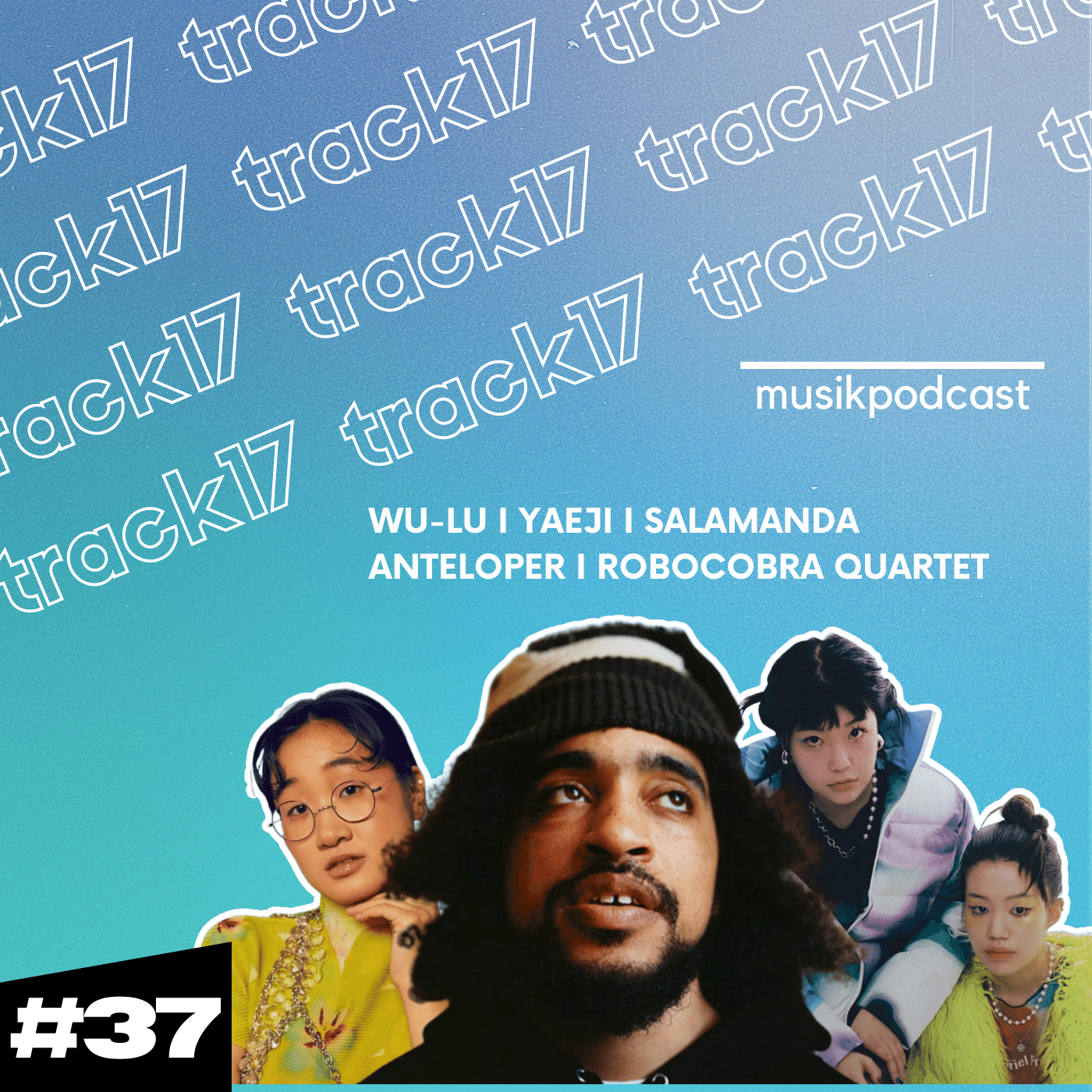 Track17 - Der Musikpodcast