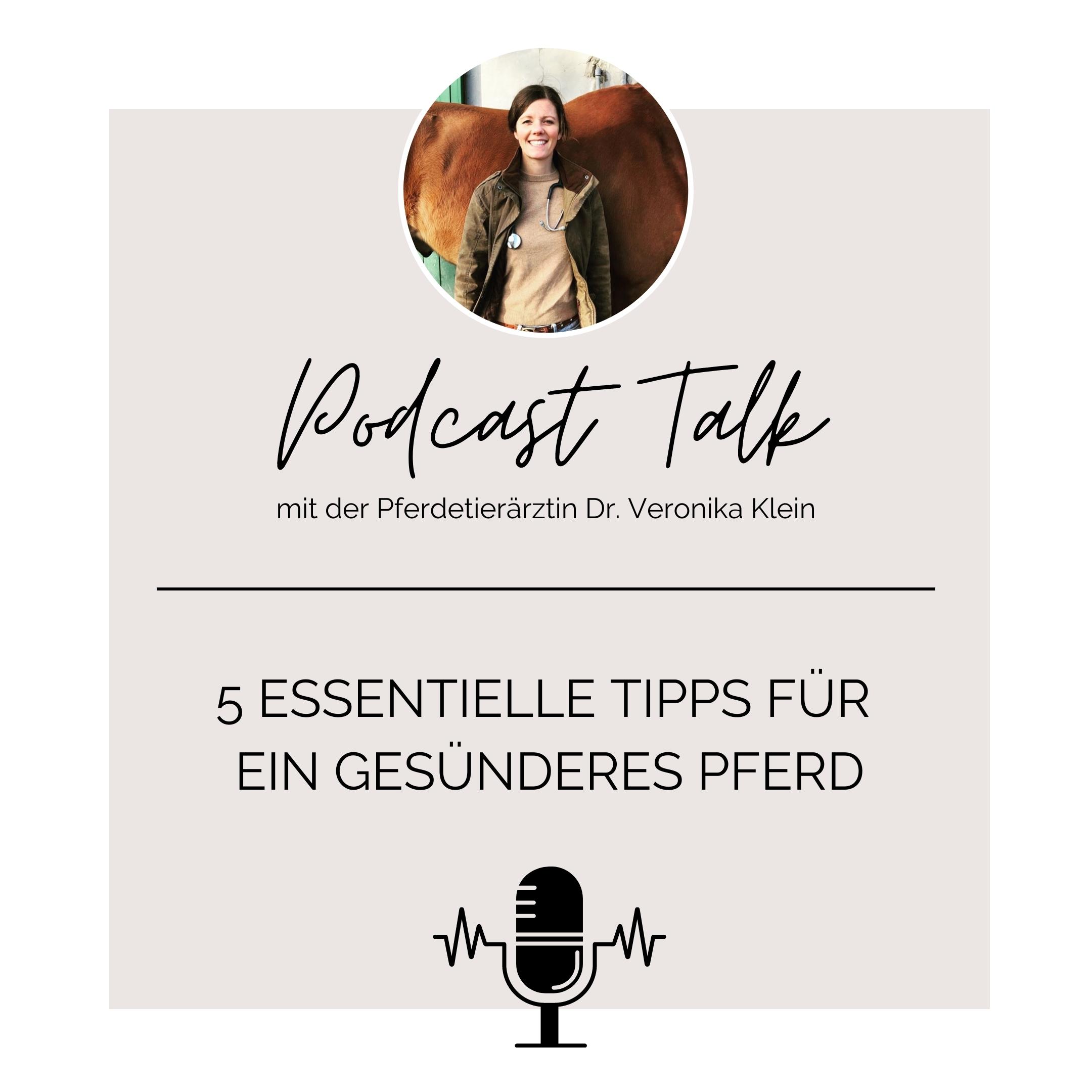 Pferdeflüsterei TO GO! Für Pferdemenschen mit Herz