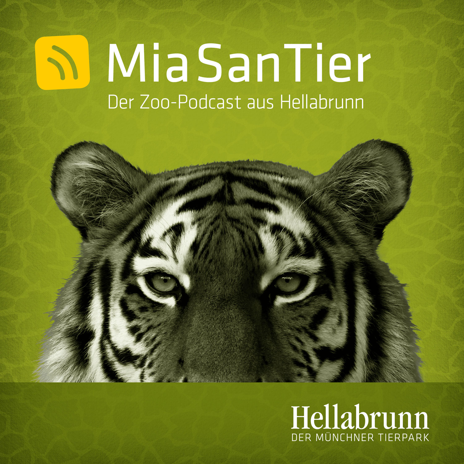 Tierpfleger-Treffpunkte: Ganz nah an Tier und Wissen