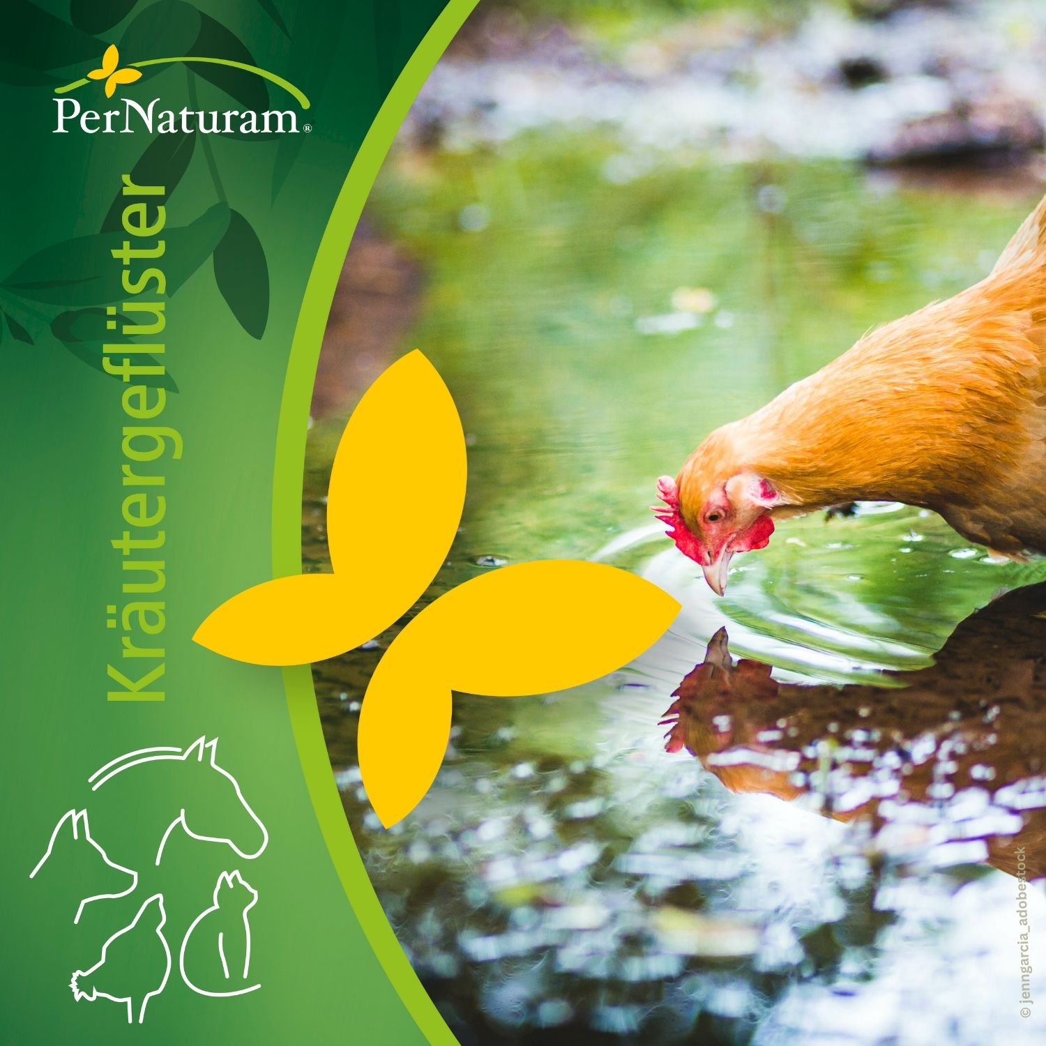 PerNaturam Kräutergeflüster