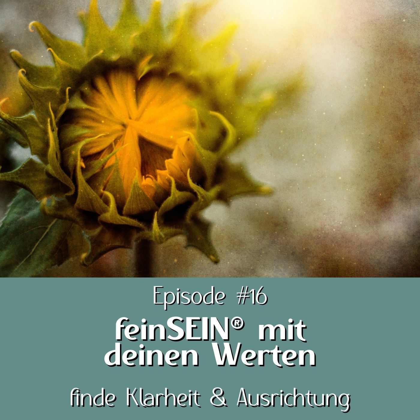 #16 - feinSEIN® mit Werten