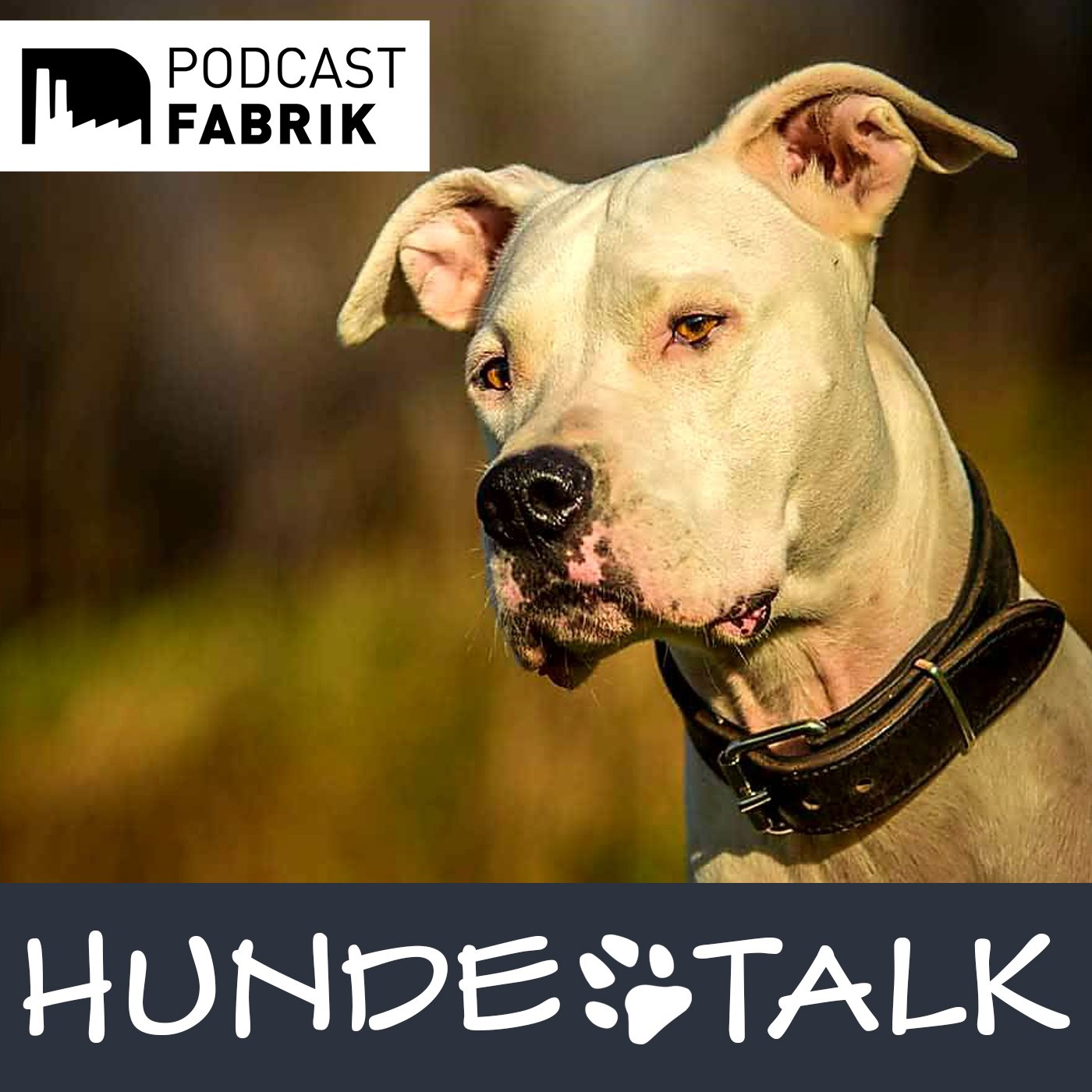 HUNDETALK - Dein Hunderunde-Podcast