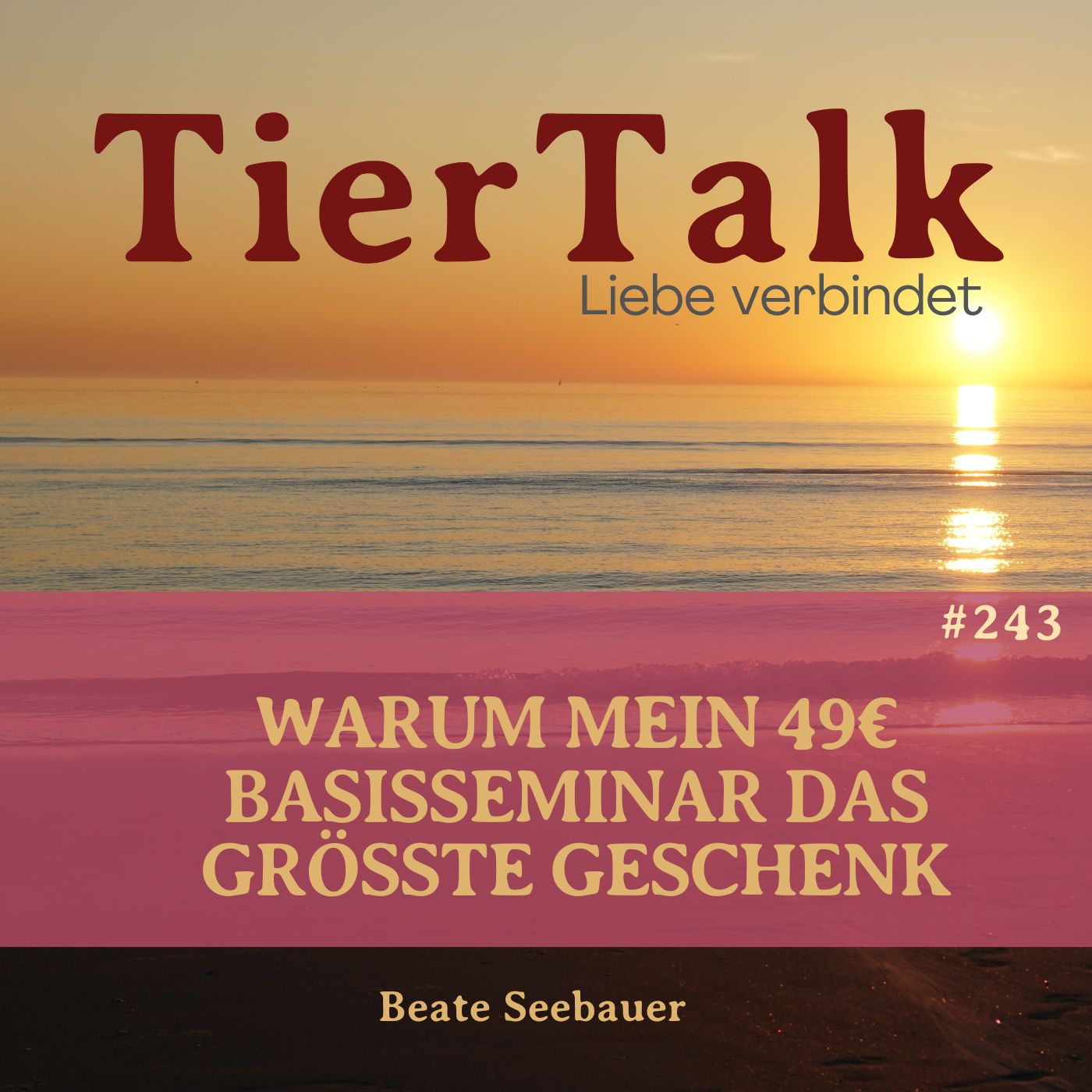 243.Warum mein 49 € Basiskurs das größte Geschenk ist | Tierkommunikation lernen