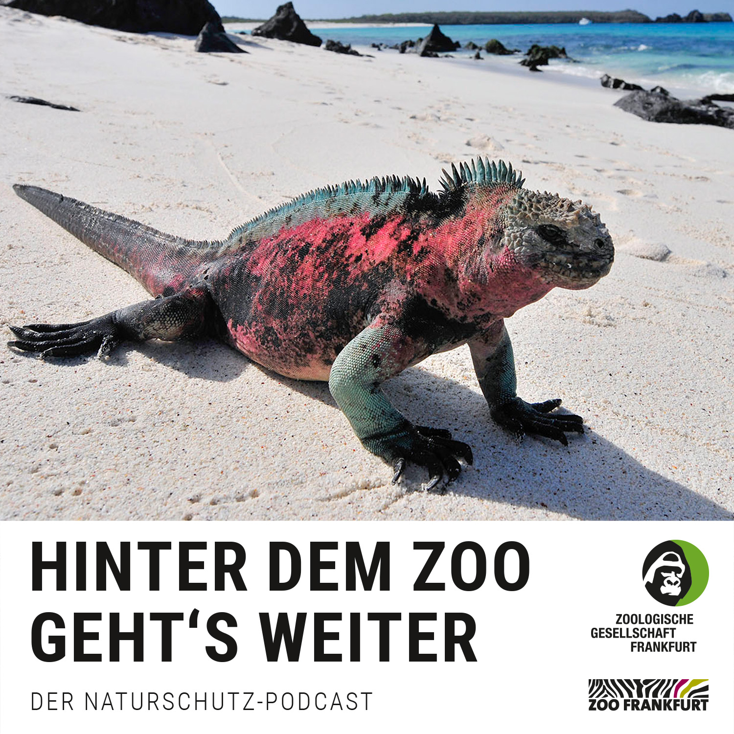 Galápagos: Piratenversteck, Touristenziel und bedrohtes Weltnaturerbe