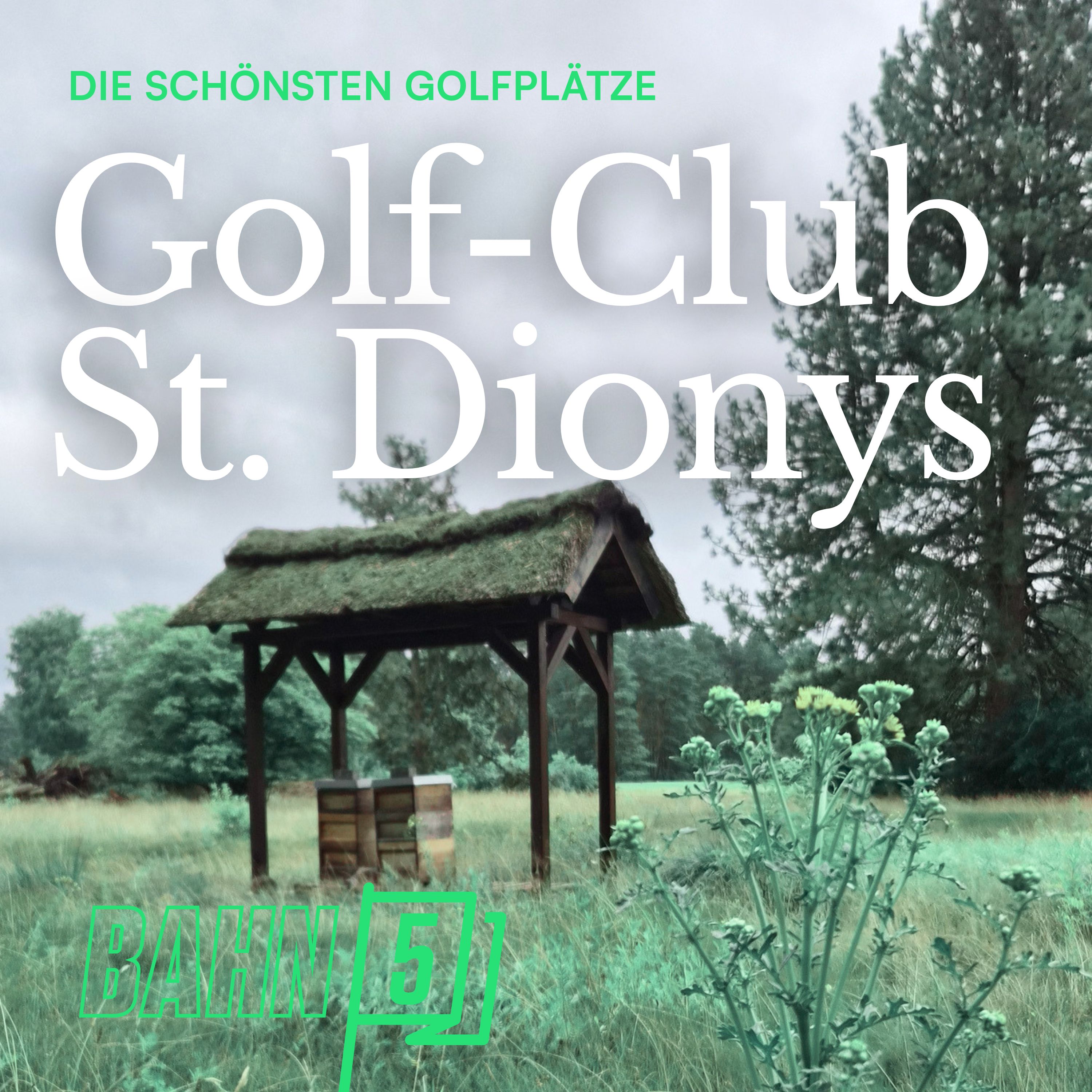 Golf Club St. Dionys: Abschlag im Lilaland der Lüneburger Heide episode artwork