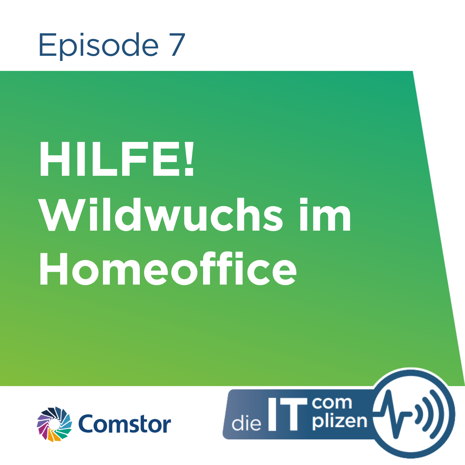 Comstor - Die IT Complizen