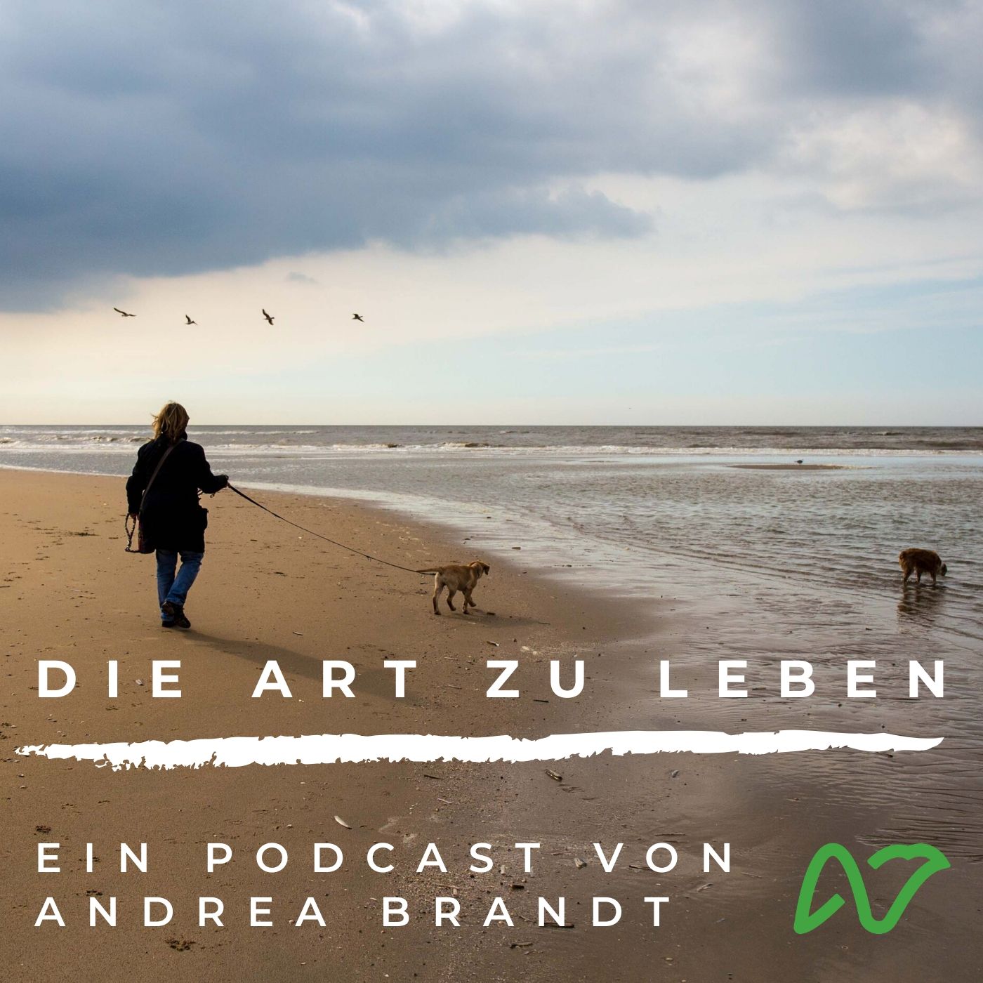 Andrea Brandt - Die Art zu Leben