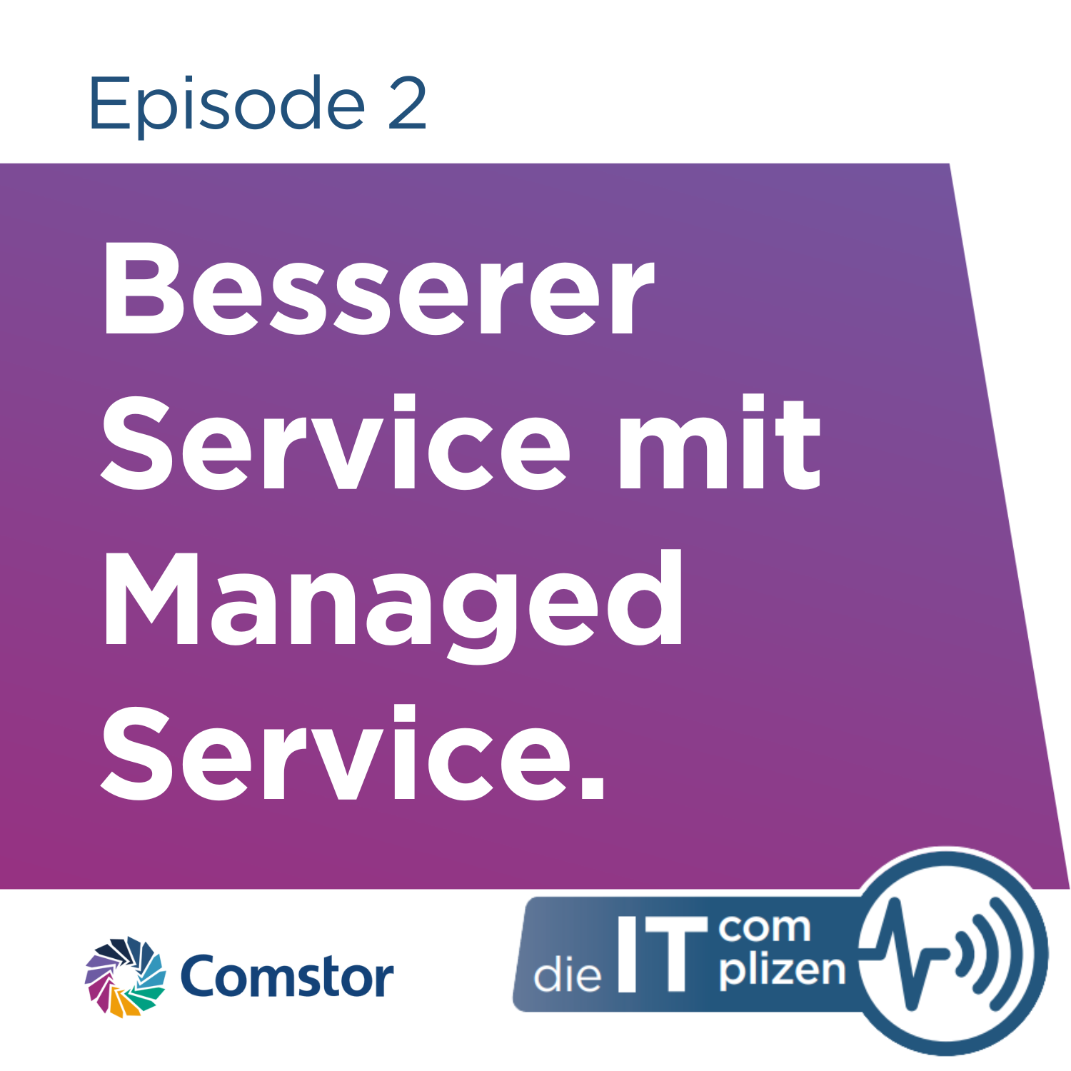 Comstor - Die IT Complizen