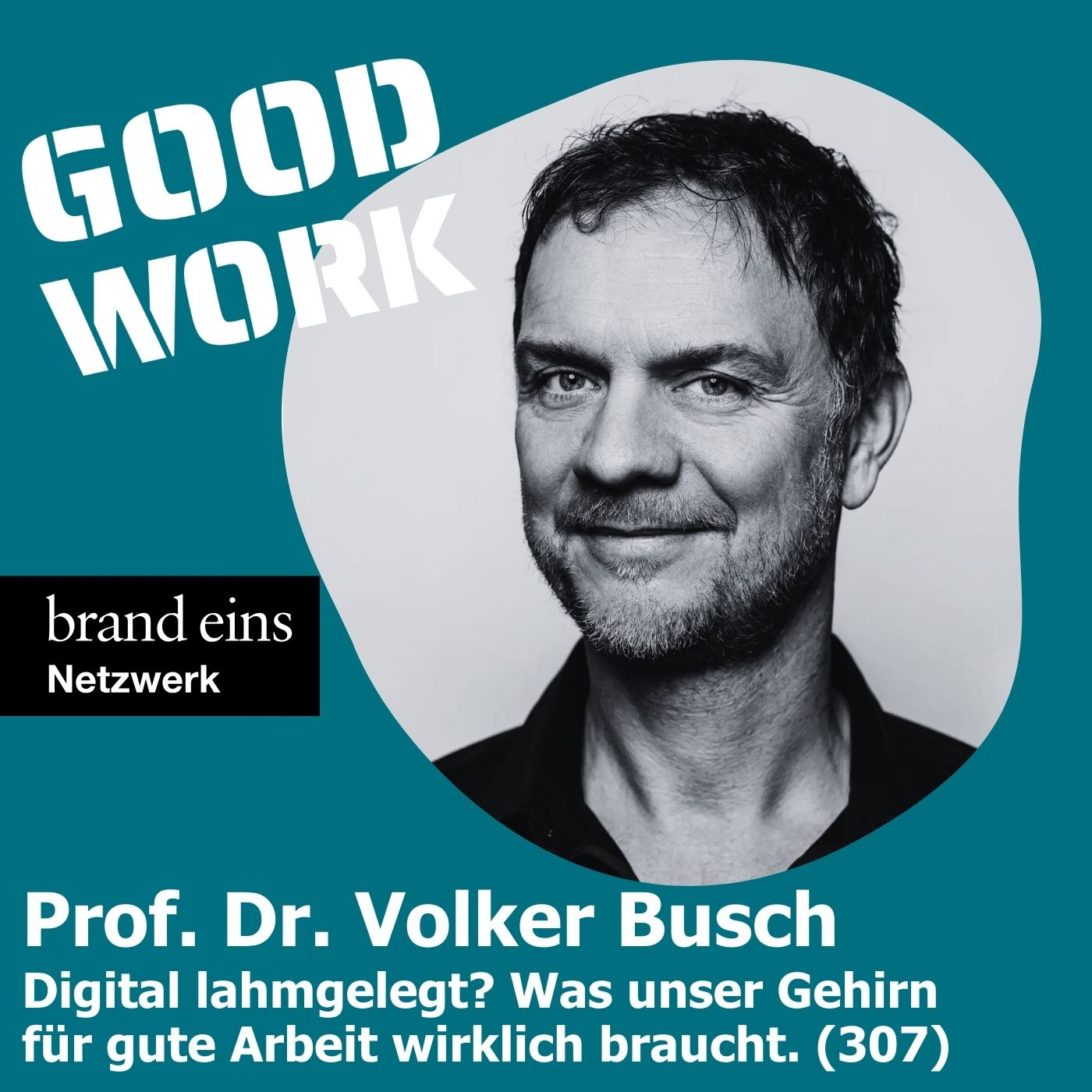 Digital lahmgelegt? Was unser Gehirn für gute Arbeit wirklich braucht. Prof. Dr. Volker Busch (307)