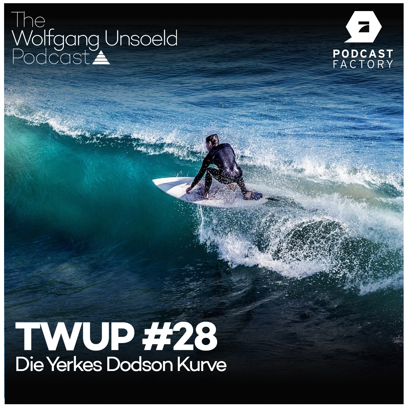 Therapie & Training Talk