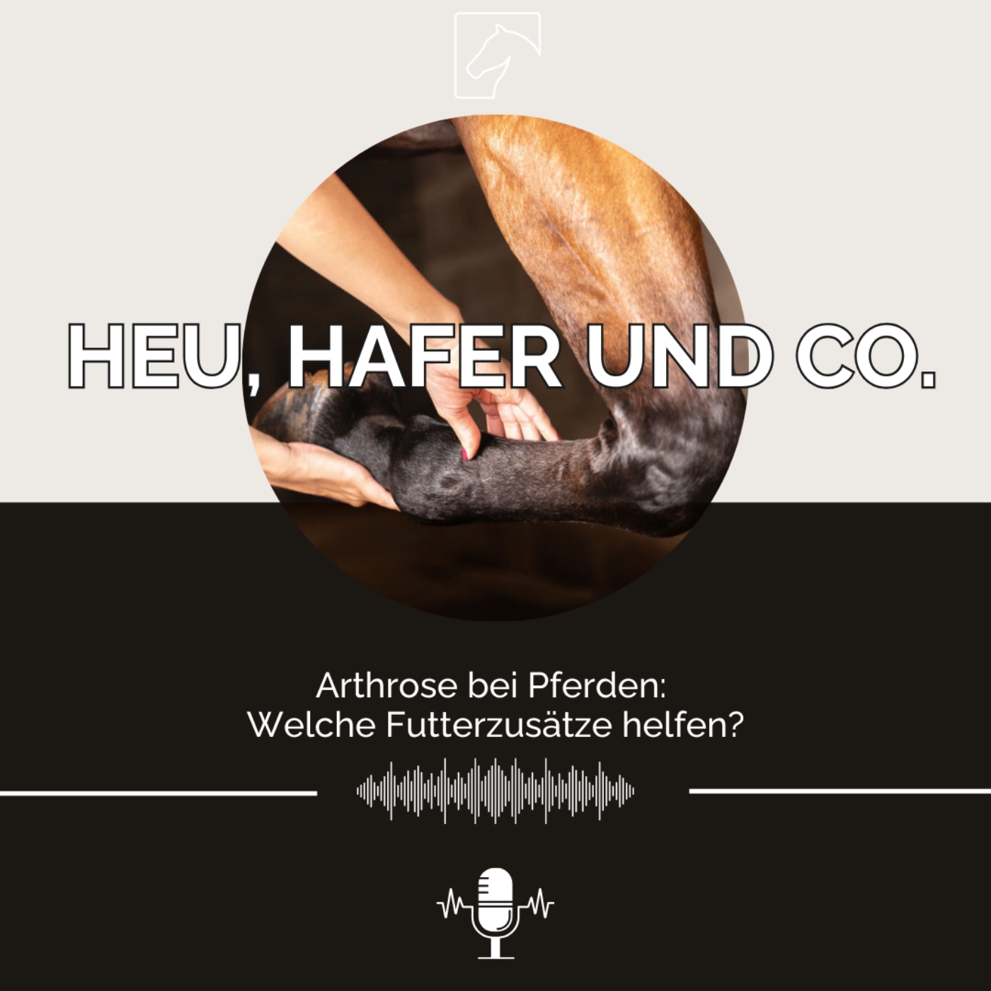 Heu, Hafer & Co: Der Pferdefutter-Podcast