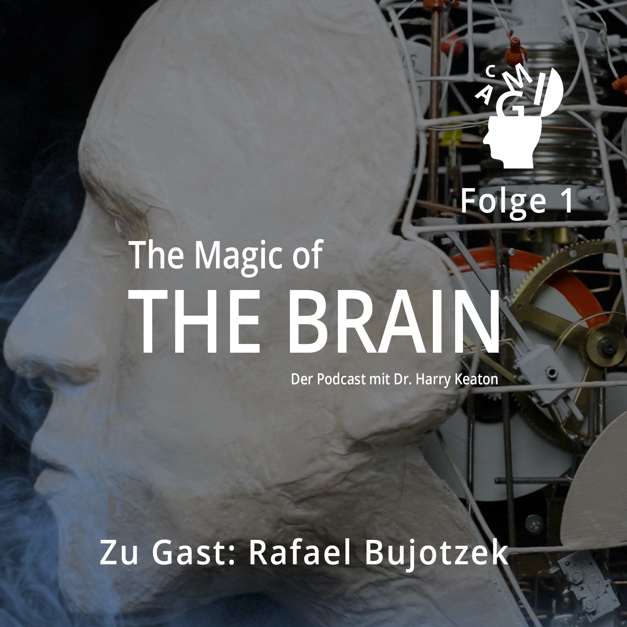 KI & Magie: Interview mit Rafael Bujotzek zur Künstlichen Intelligenz episode artwork