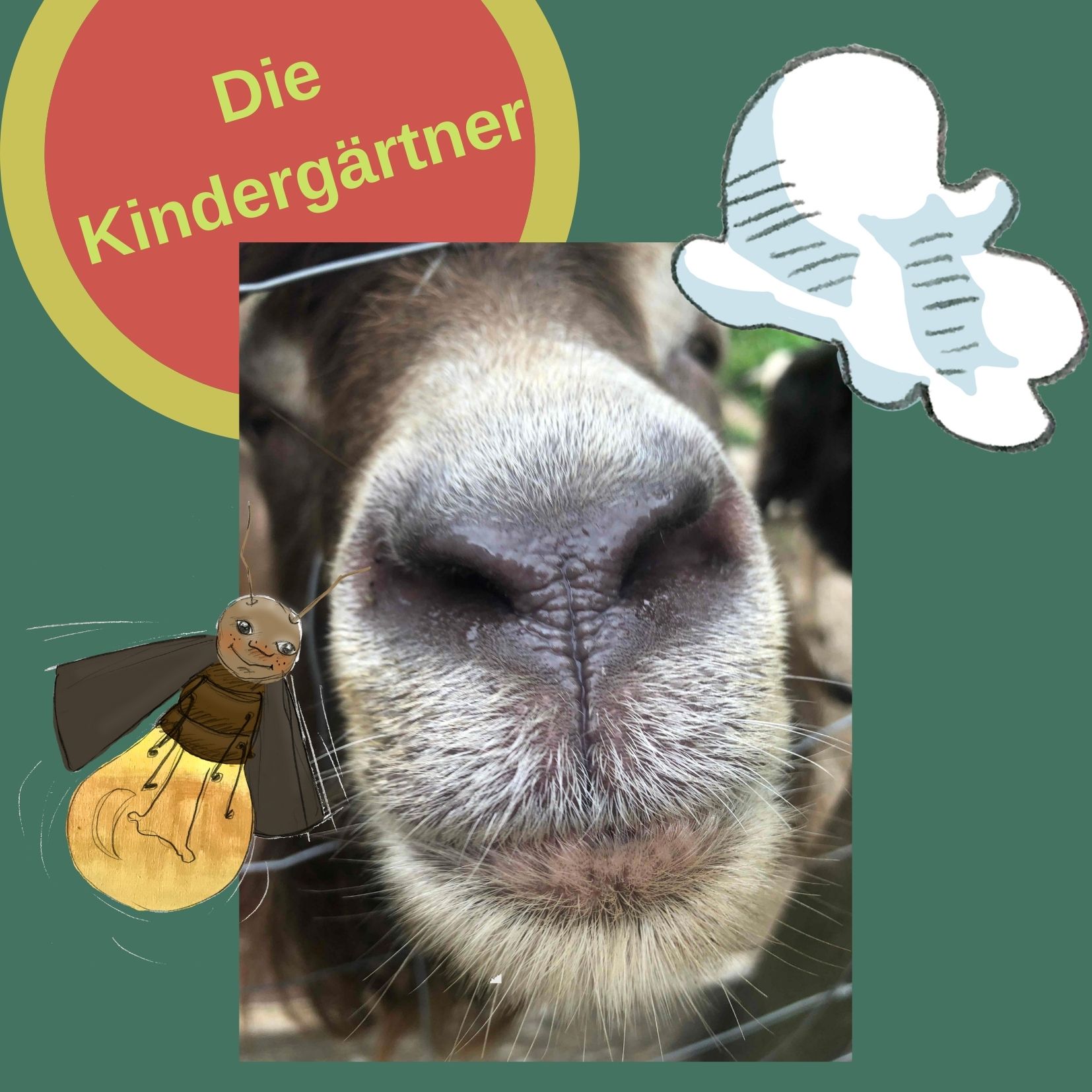 Von Glühwürmchen und Ziegenböcken