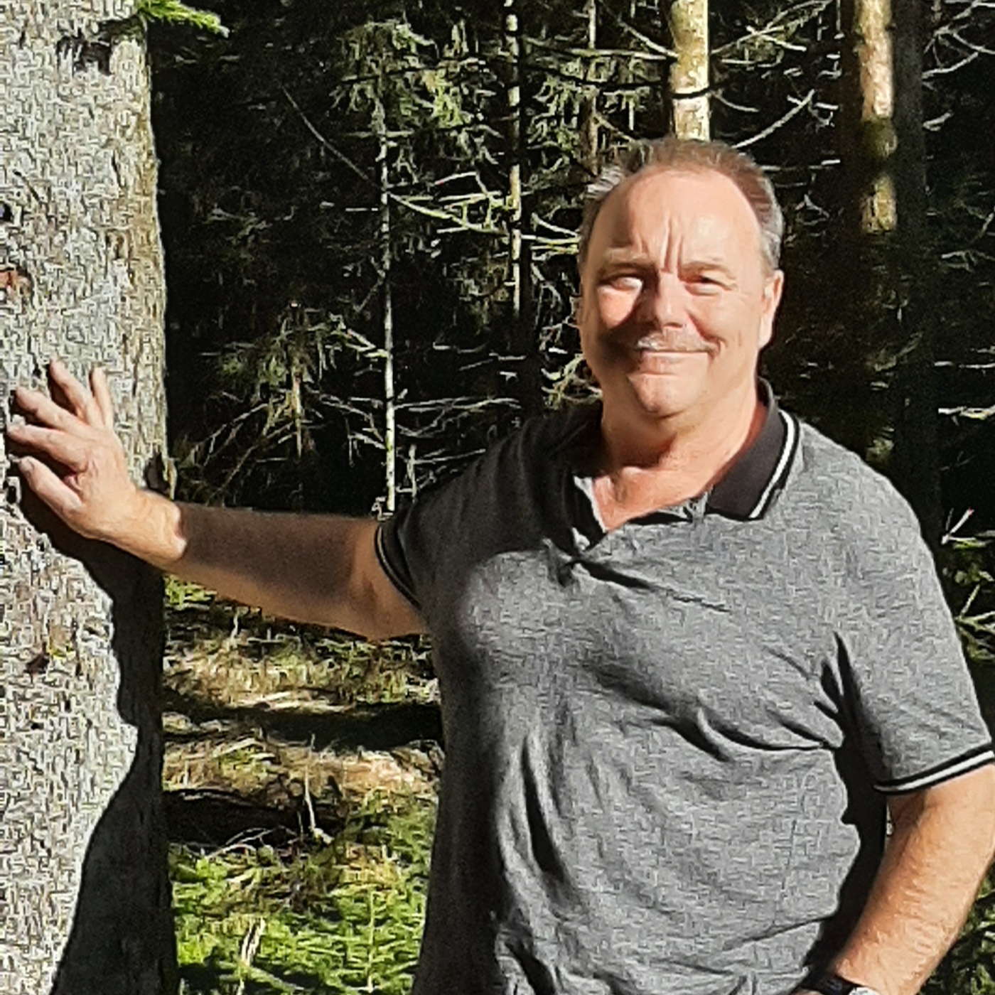 Die Natur und die Stadt