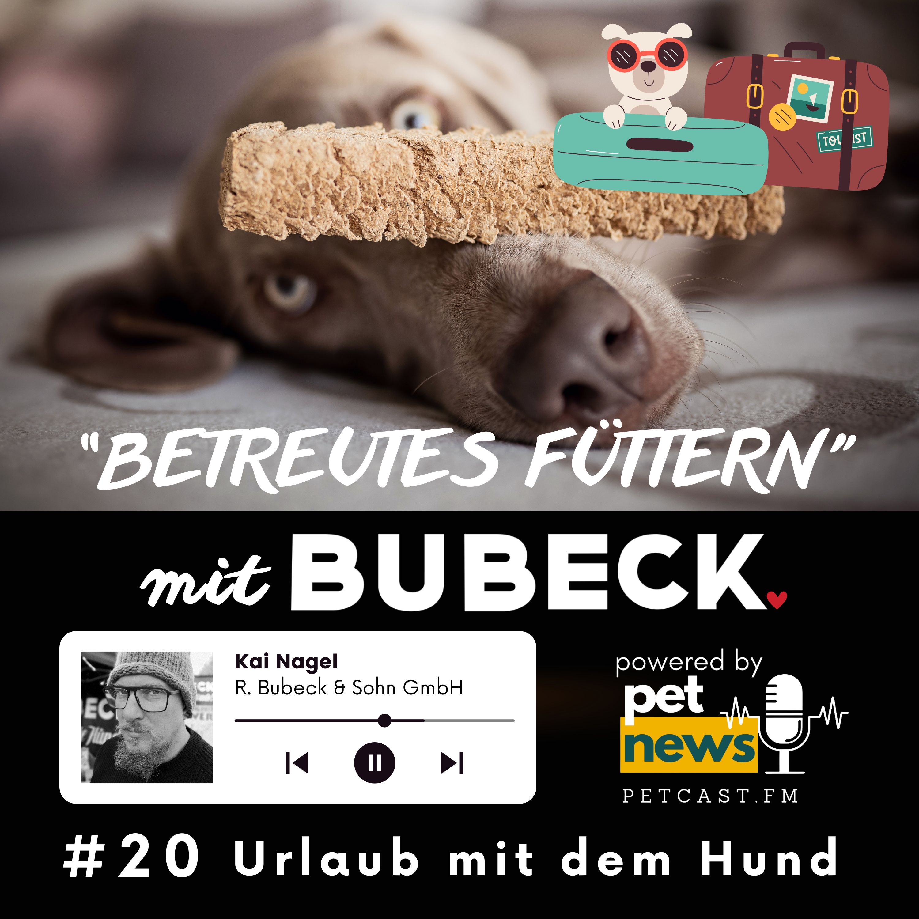Betreutes Füttern mit Bubeck - Die älteste Hundefuttermanufaktur von 1893